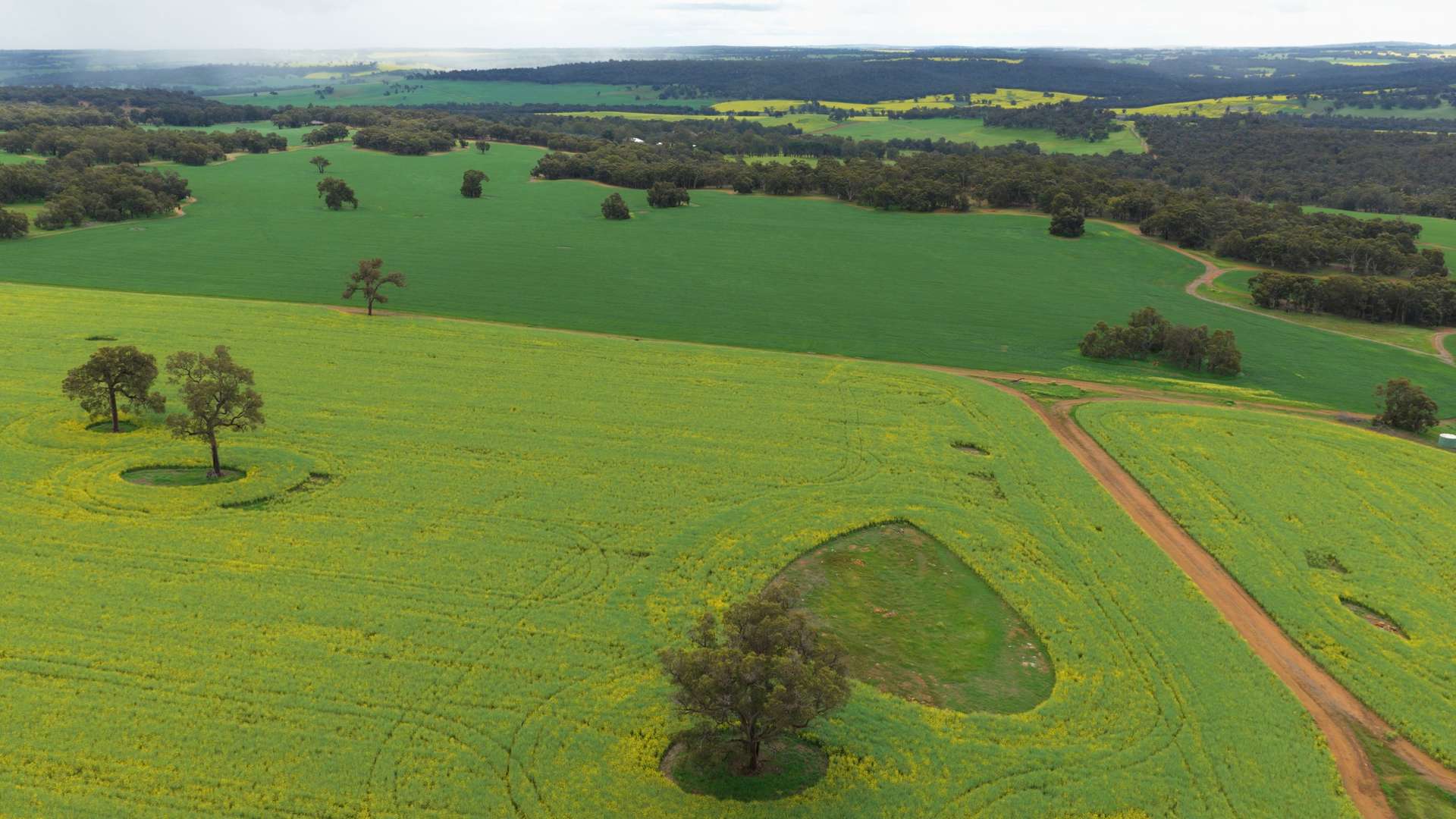 Former Bindoon Agricultural College, Bindoon For Sale by Farmbuy.com - image 10