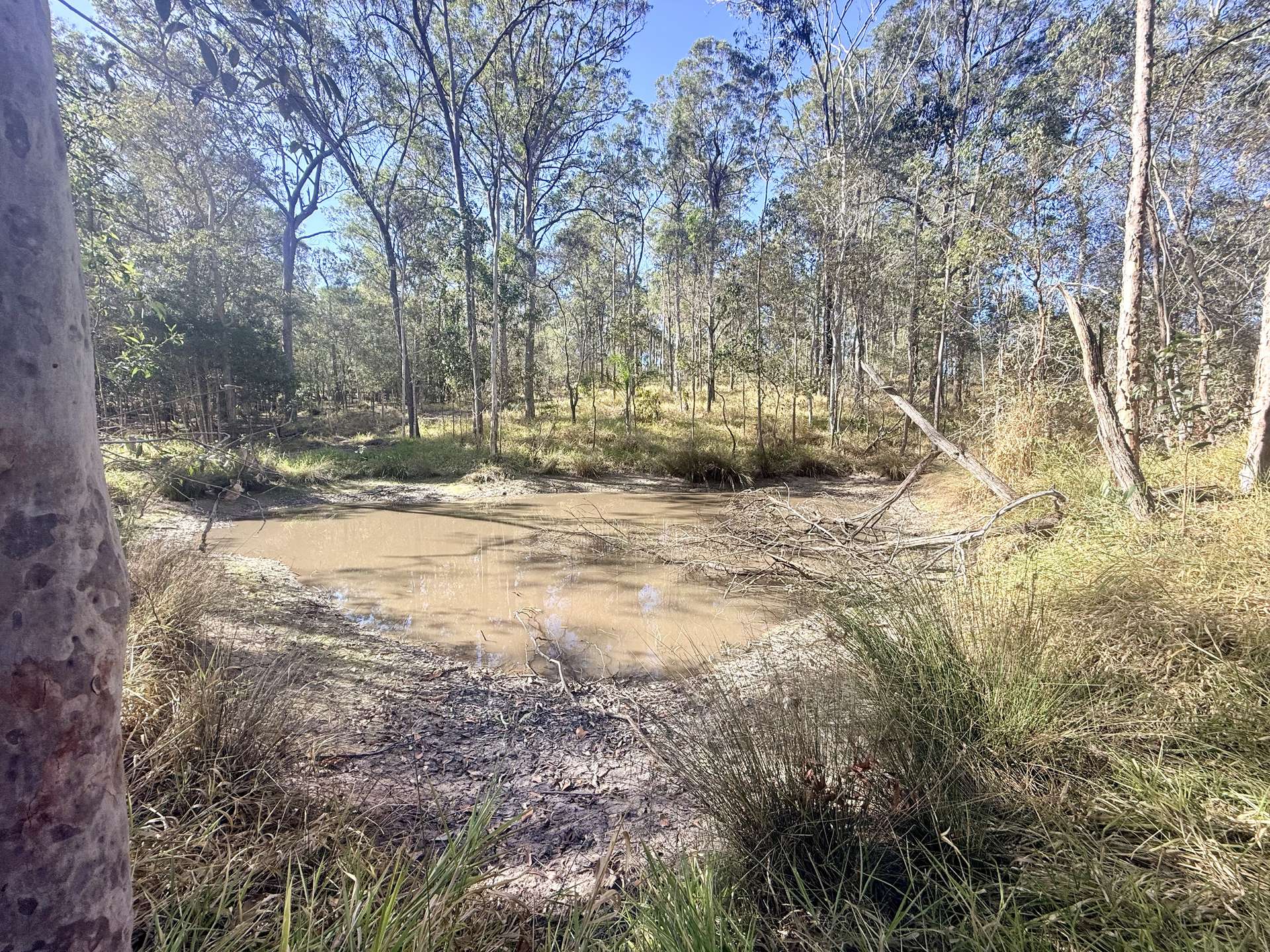 98 Mcilwraith Road, McIlwraith For Sale by Farmbuy.com - image 11