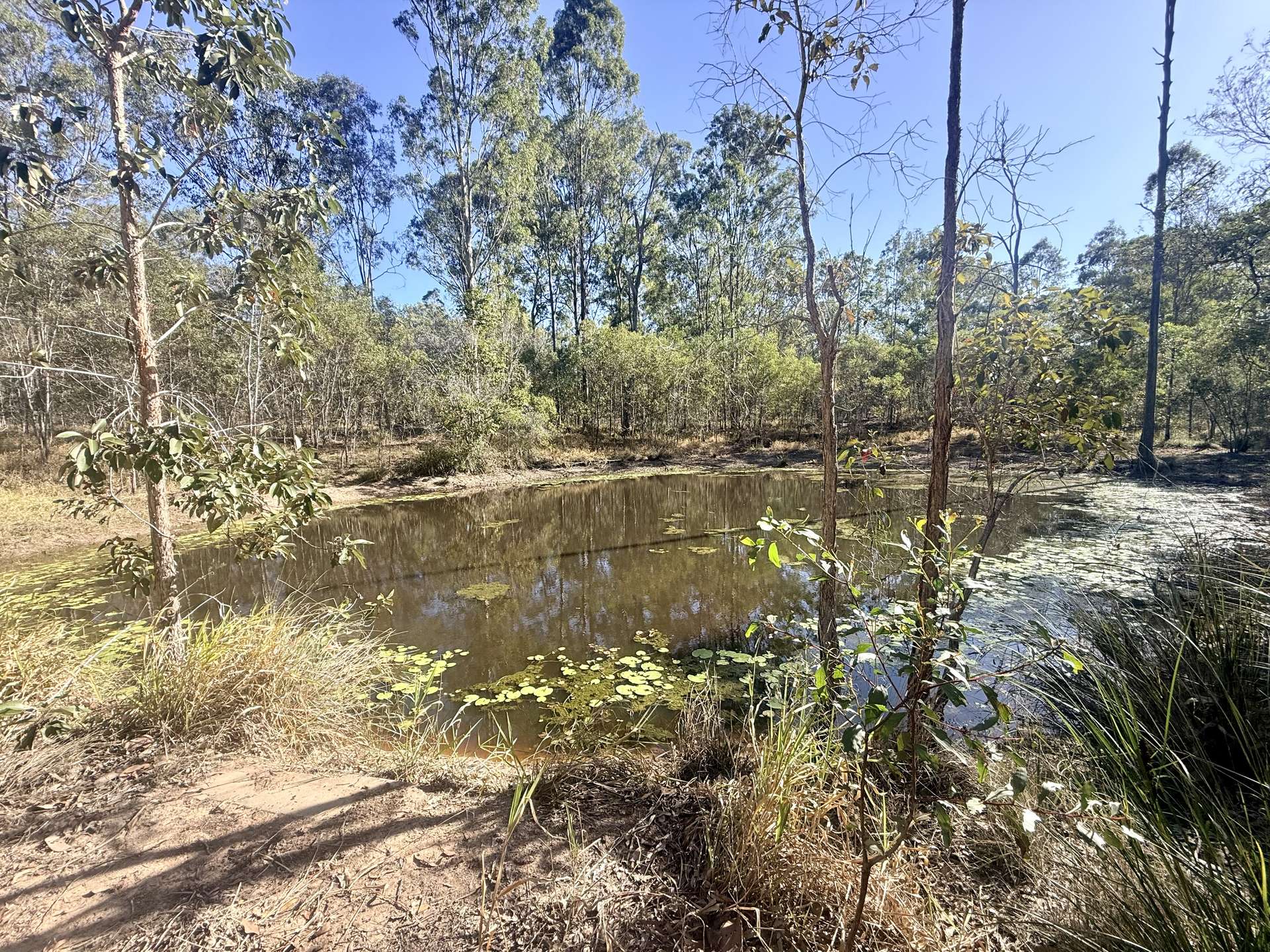 98 Mcilwraith Road, McIlwraith For Sale by Farmbuy.com - image 9