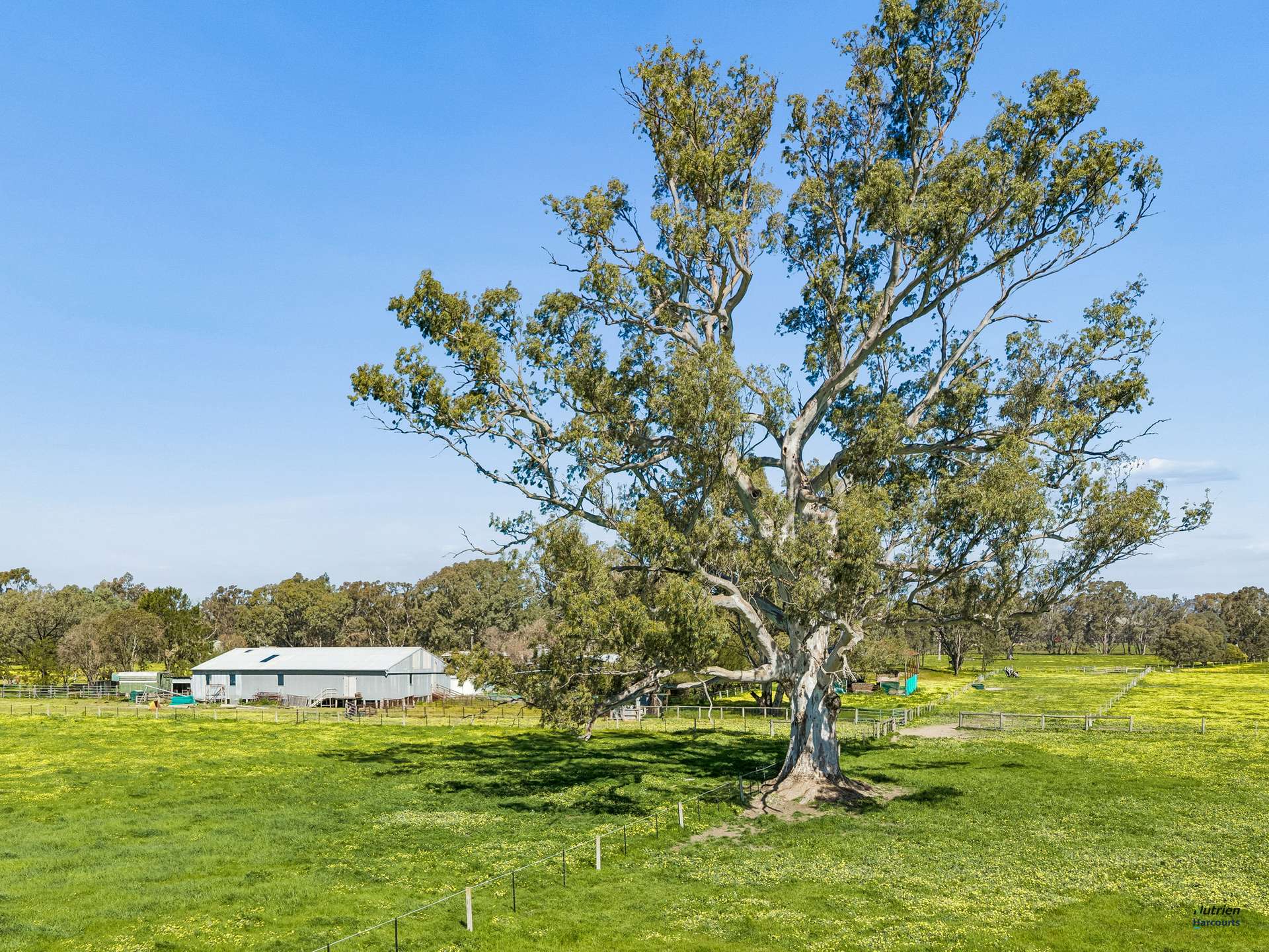 43 Robinson Road, Violet Town For Sale by Farmbuy.com - image 8