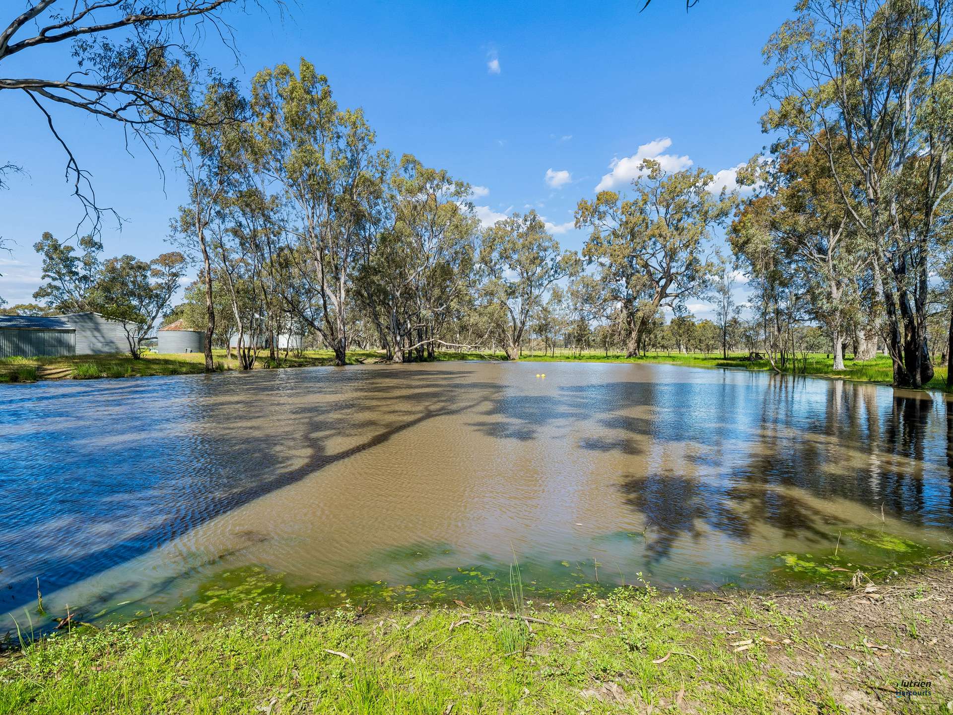43 Robinson Road, Violet Town For Sale by Farmbuy.com - image 13