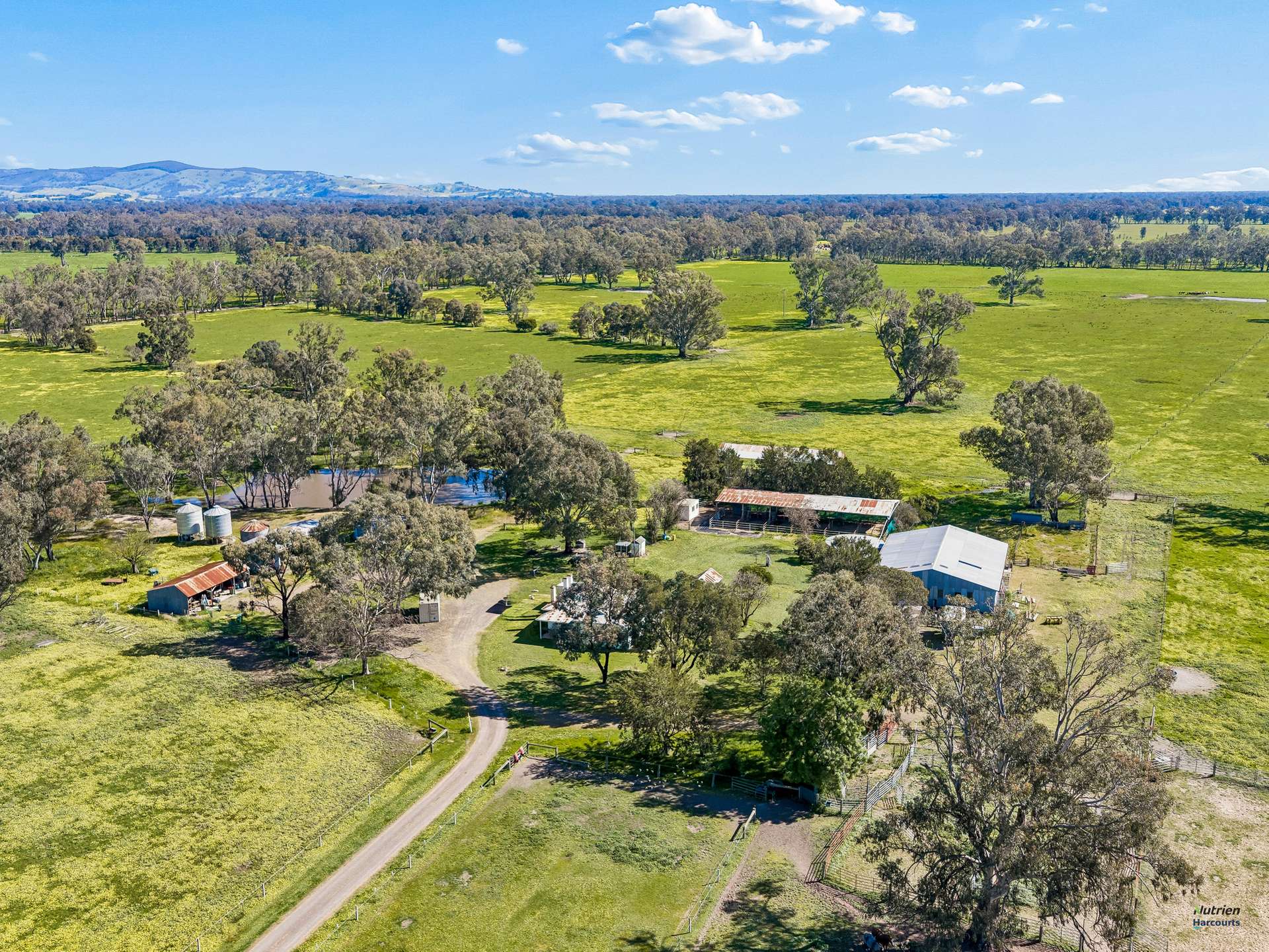 43 Robinson Road, Violet Town For Sale by Farmbuy.com - image 3