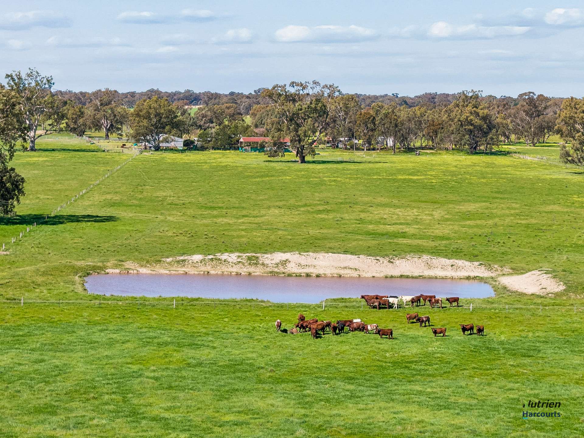 43 Robinson Road, Violet Town For Sale by Farmbuy.com - image 6