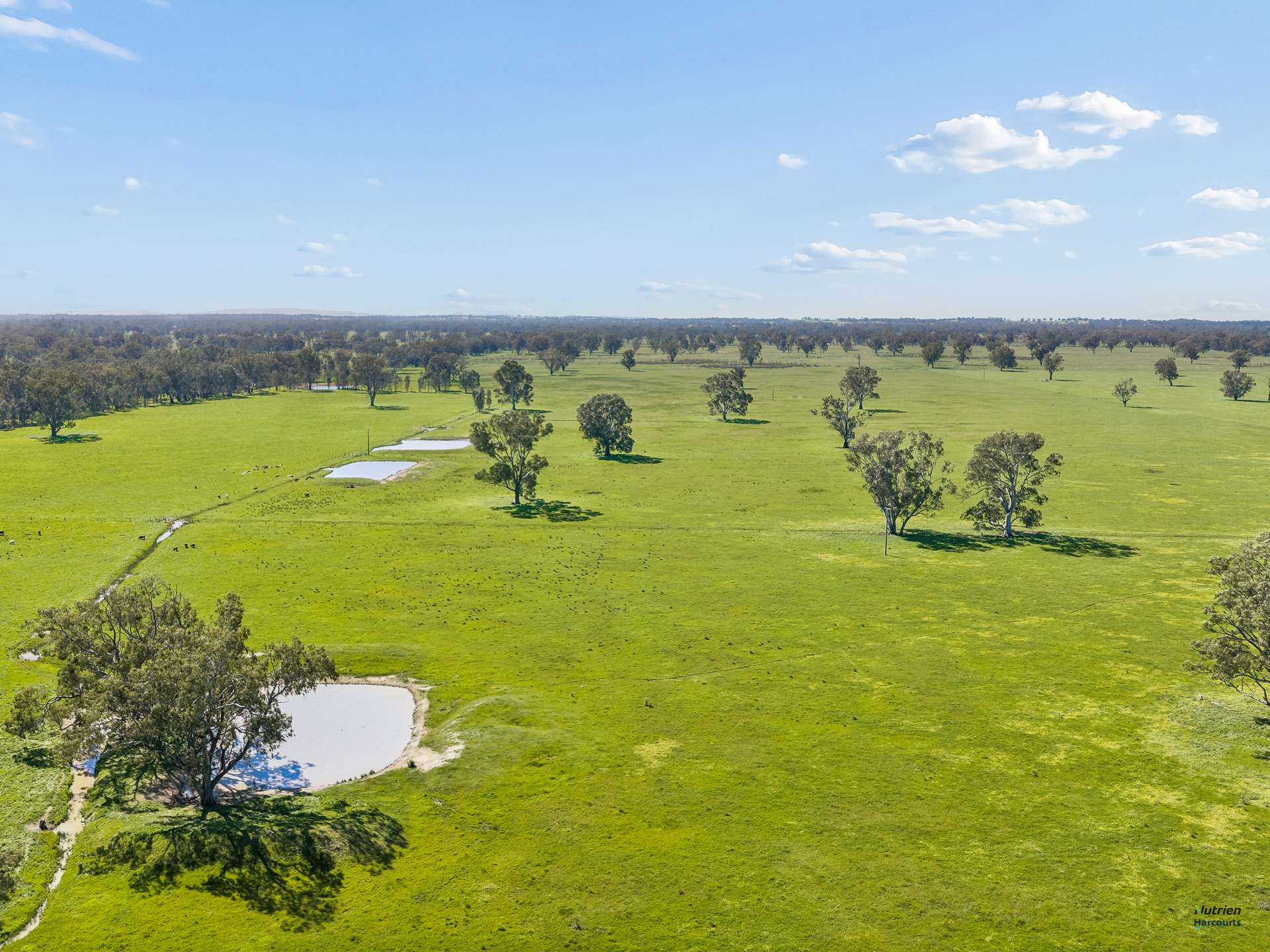 43 Robinson Road, Violet Town For Sale by Farmbuy.com - image 4
