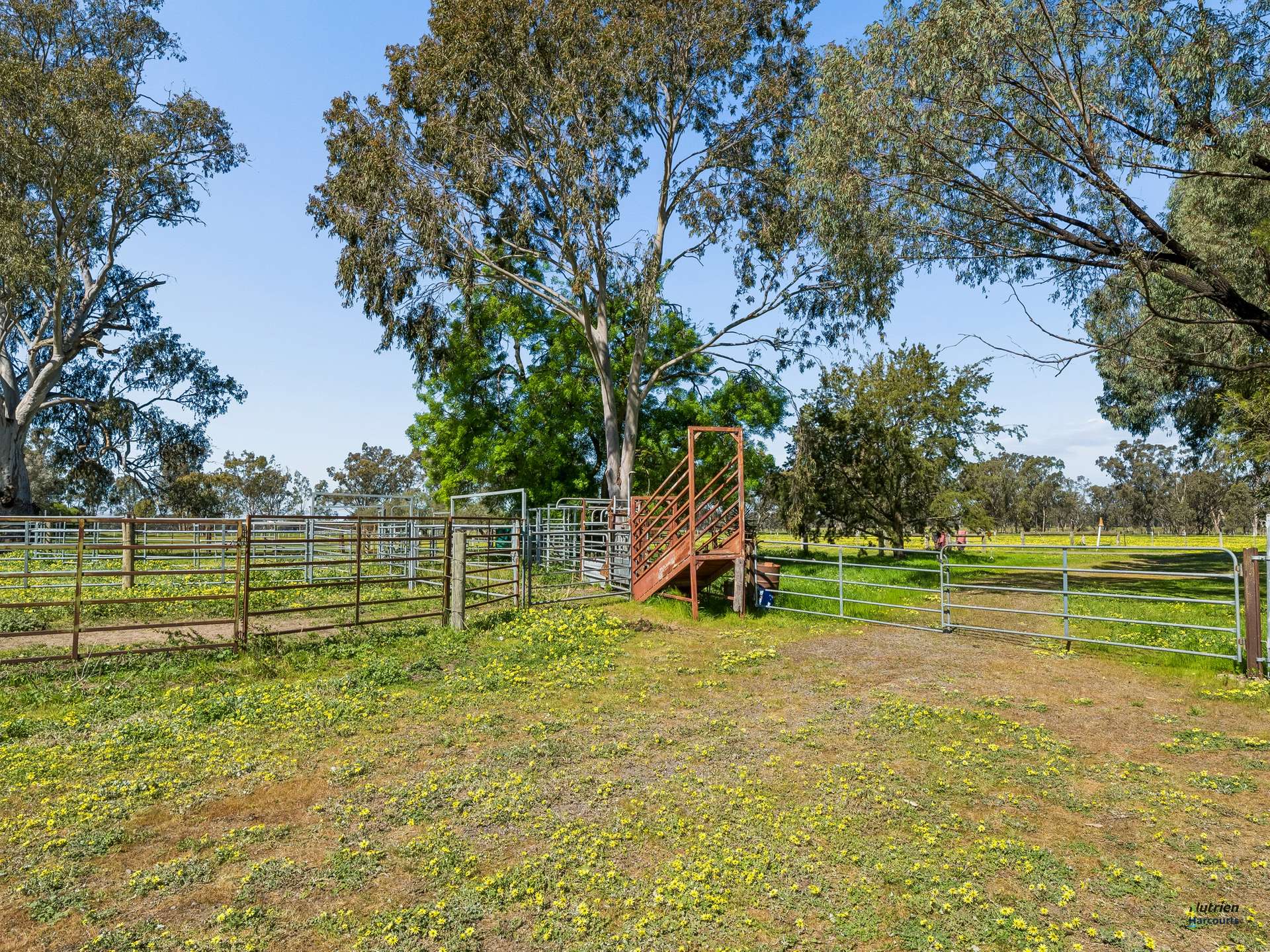 43 Robinson Road, Violet Town For Sale by Farmbuy.com - image 18