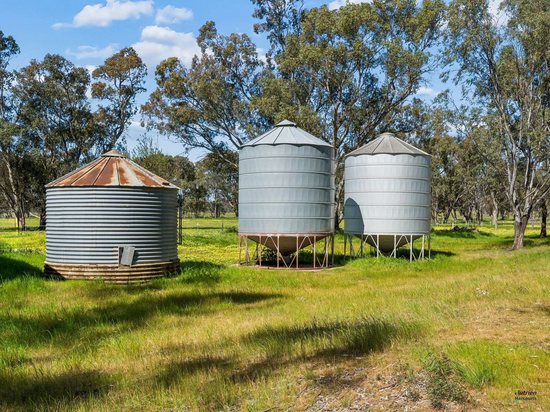 43 Robinson Road, Violet Town For Sale by Farmbuy.com - image 9