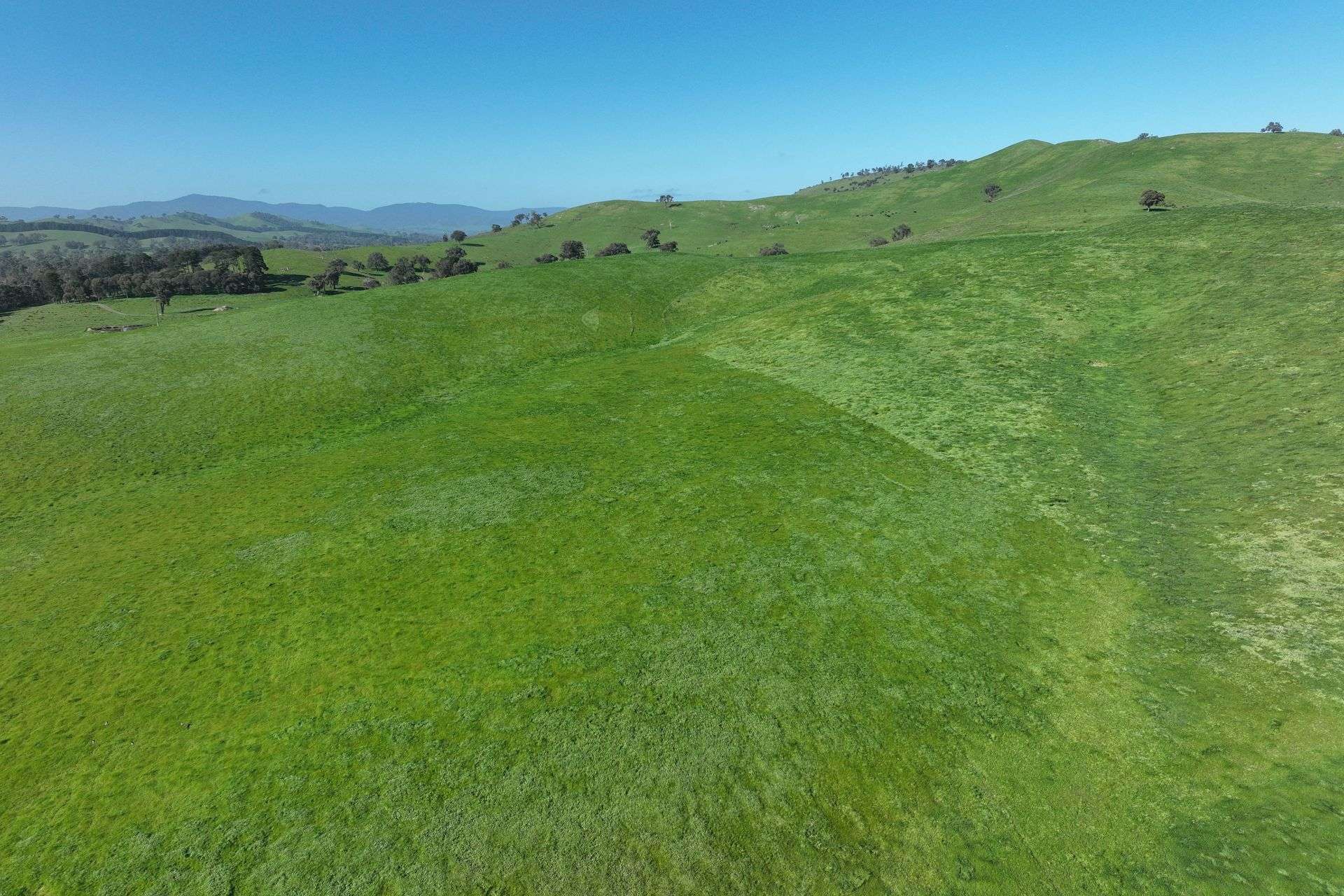 5695 Melba Highway, Yea For Sale by Farmbuy.com - image 16