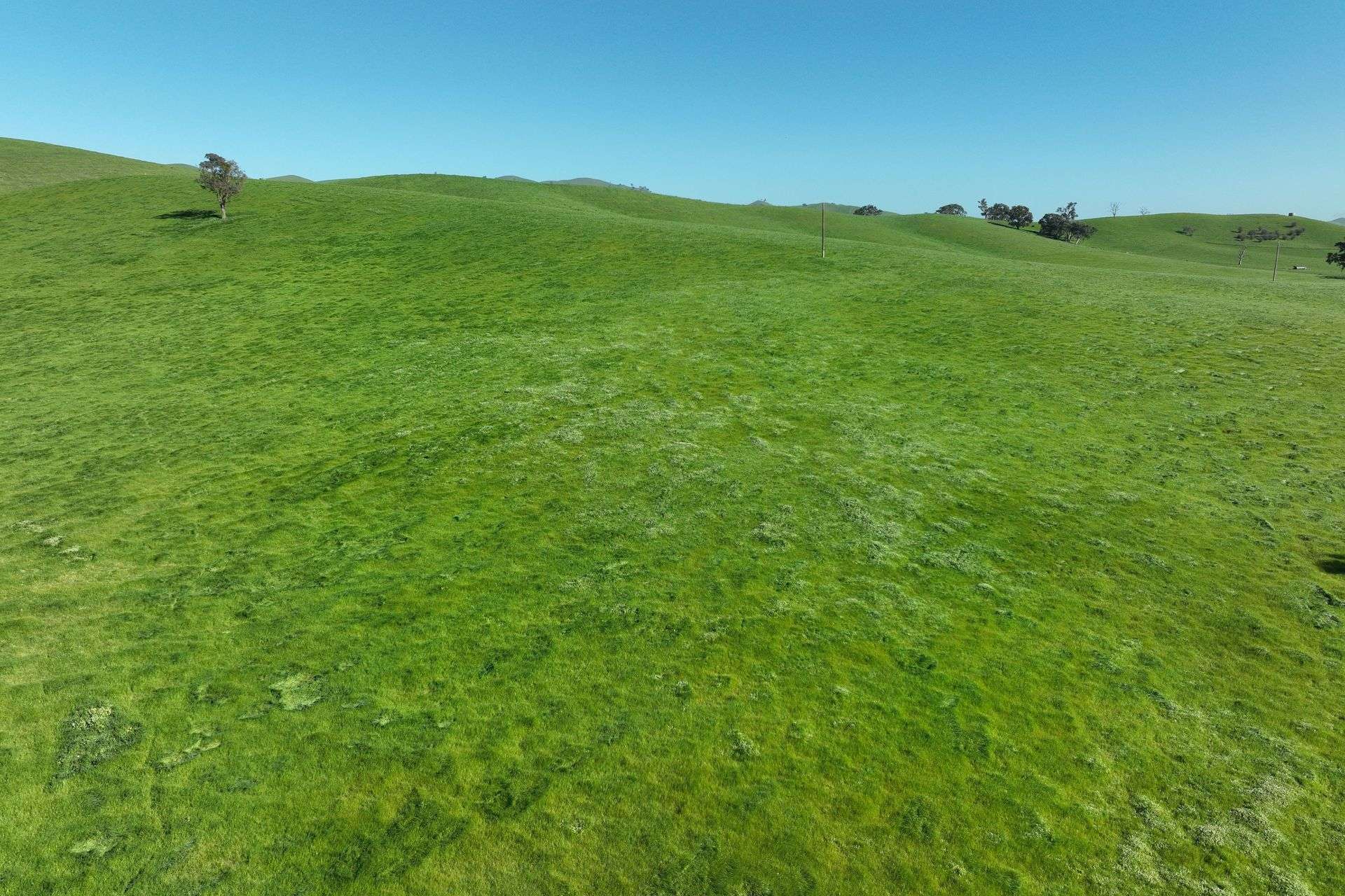 5695 Melba Highway, Yea For Sale by Farmbuy.com - image 21