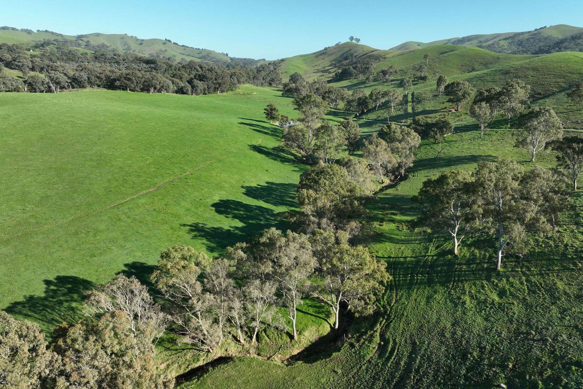 5695 Melba Highway, Yea For Sale by Farmbuy.com - image 18