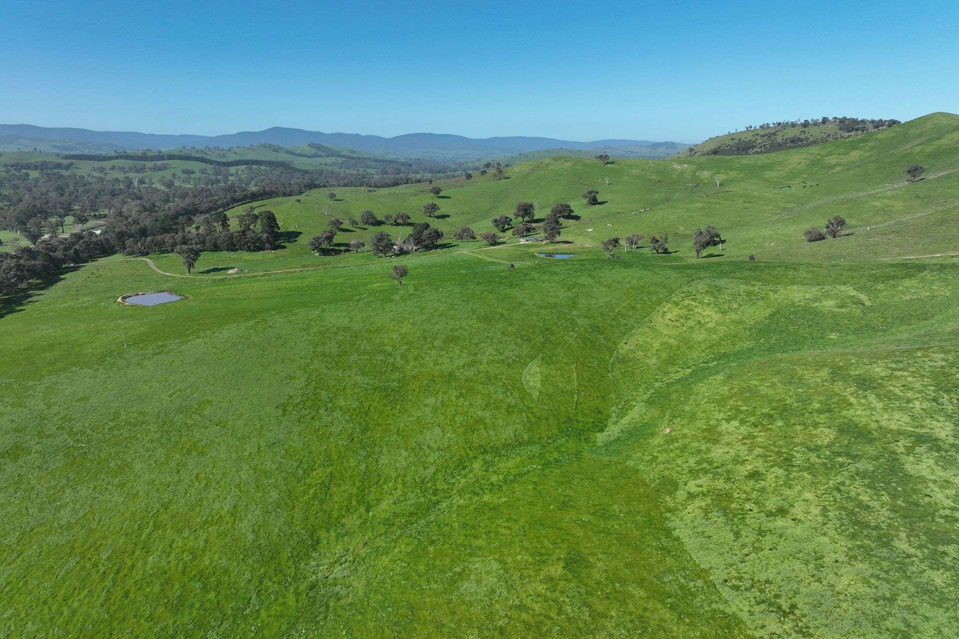 5695 Melba Highway, Yea For Sale by Farmbuy.com - image 25