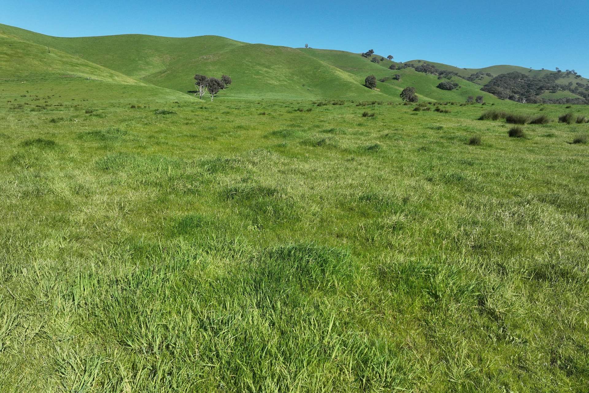 5695 Melba Highway, Yea For Sale by Farmbuy.com - image 4