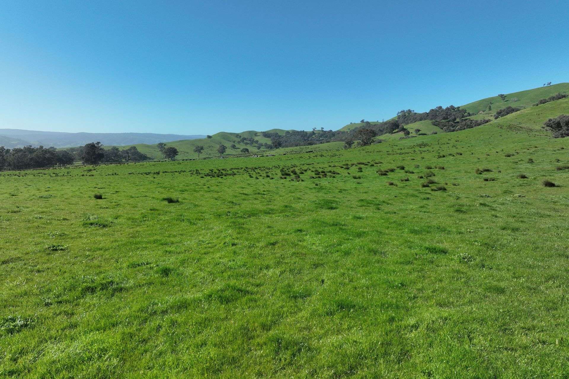 5695 Melba Highway, Yea For Sale by Farmbuy.com - image 24