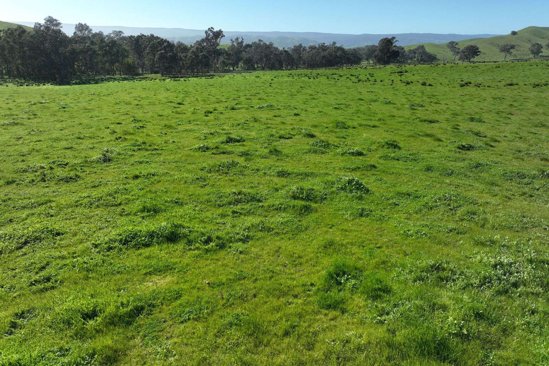 5695 Melba Highway, Yea For Sale by Farmbuy.com - image 27