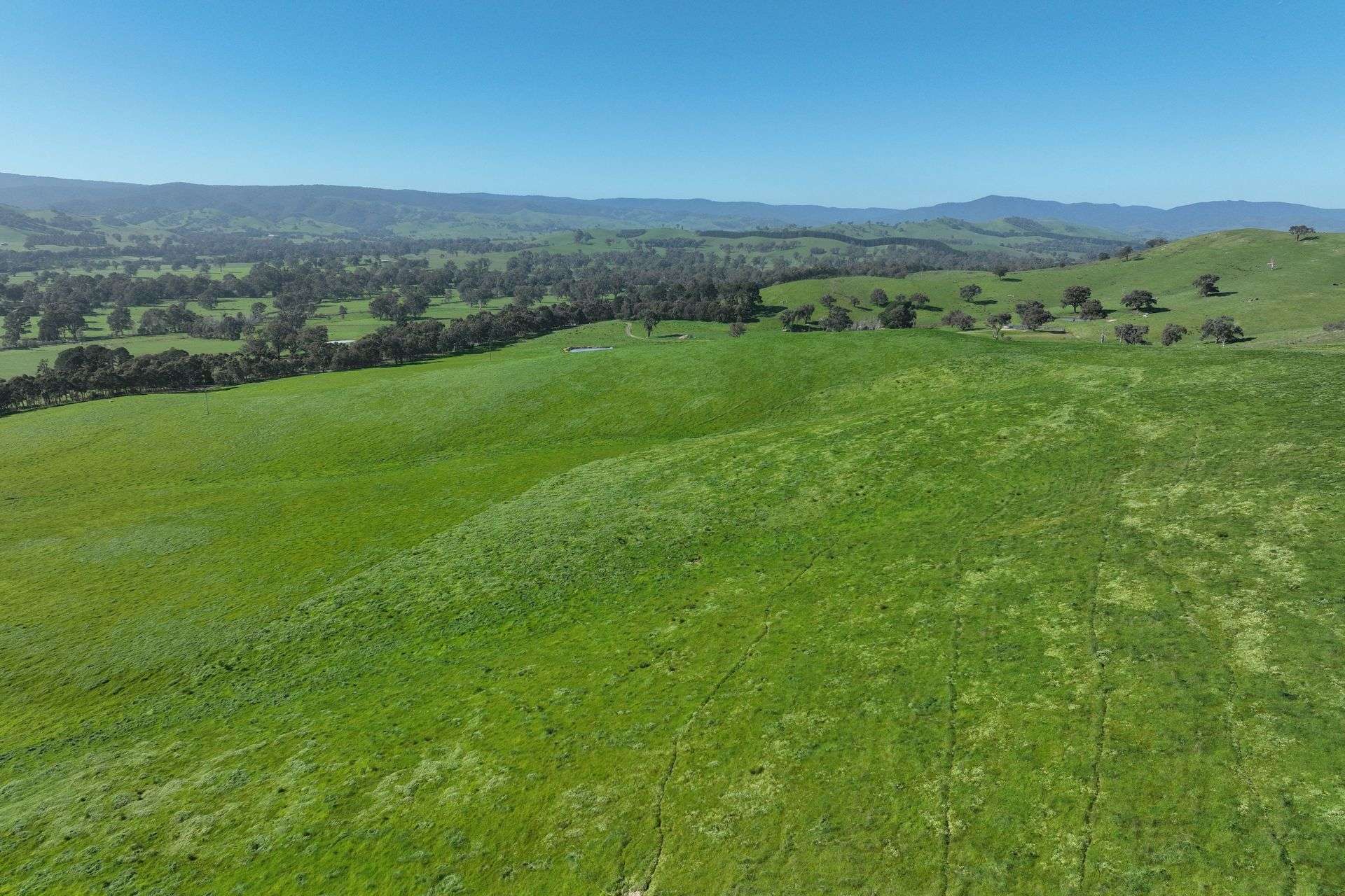 5695 Melba Highway, Yea For Sale by Farmbuy.com - image 23