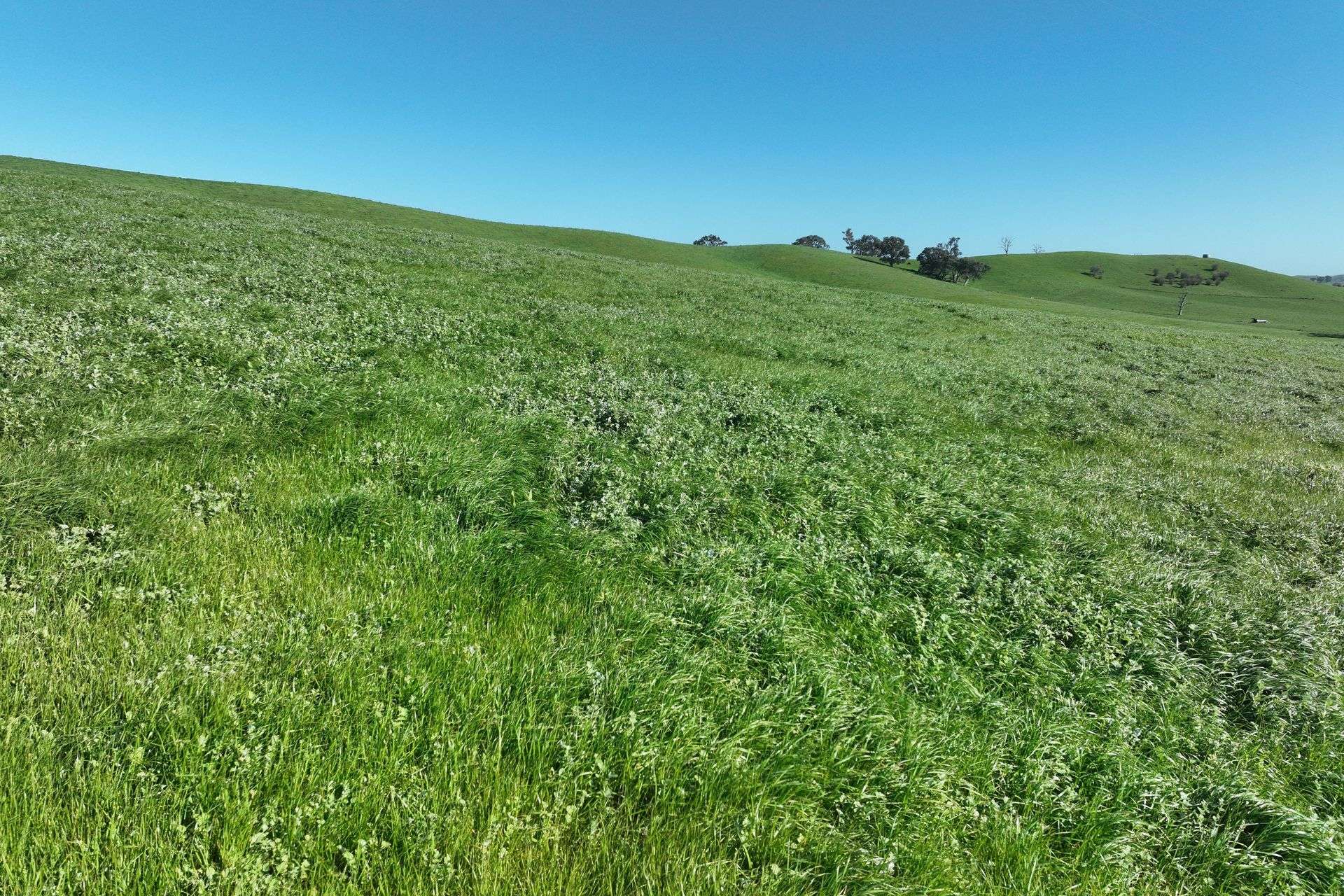 5695 Melba Highway, Yea For Sale by Farmbuy.com - image 9
