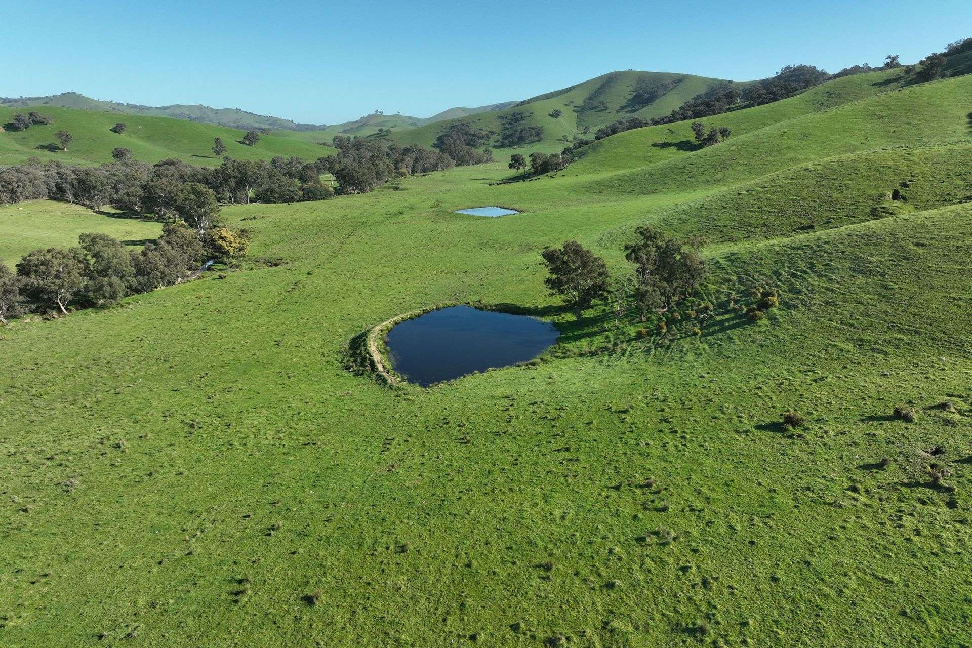 5695 Melba Highway, Yea For Sale by Farmbuy.com - image 17
