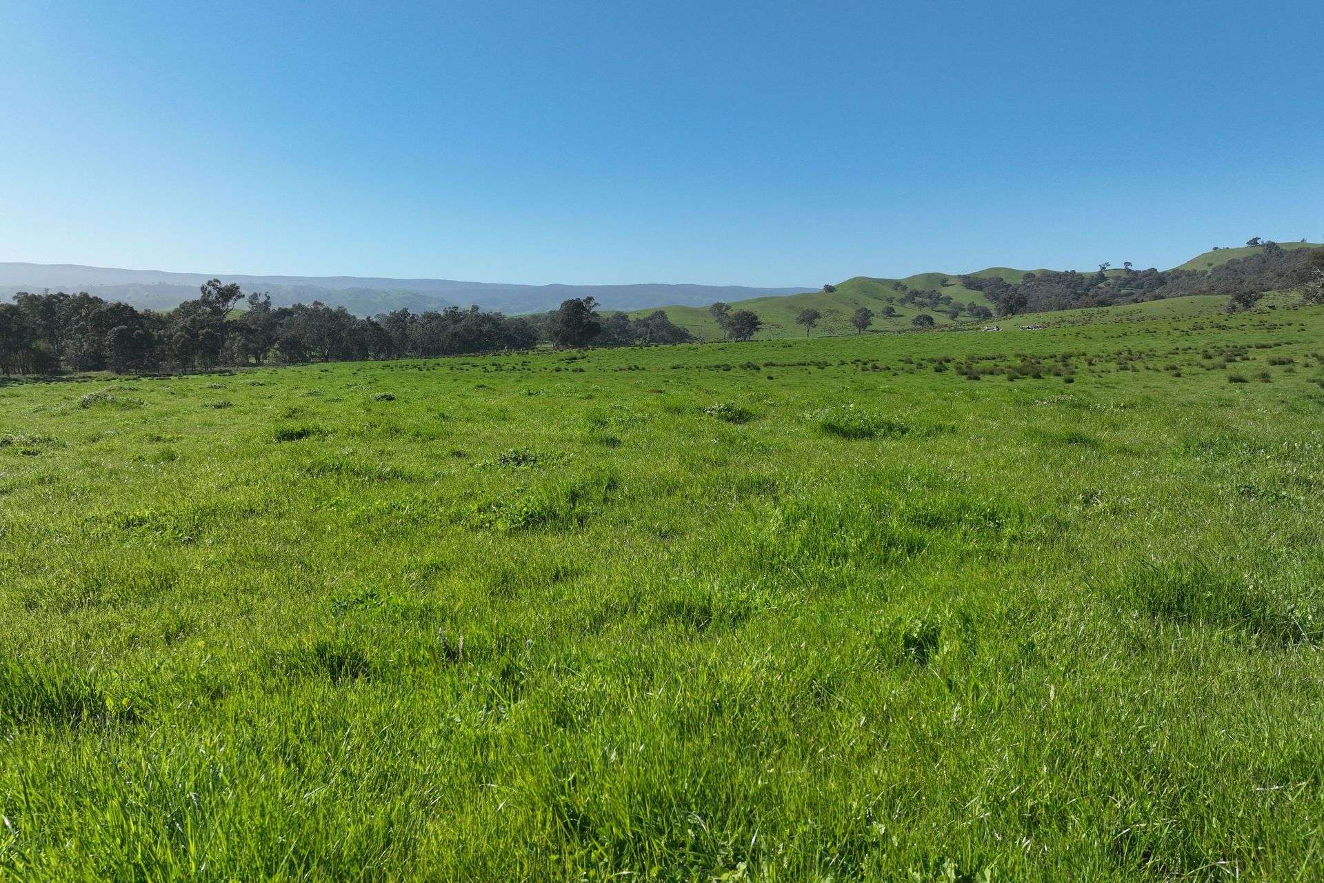 5695 Melba Highway, Yea For Sale by Farmbuy.com - image 2