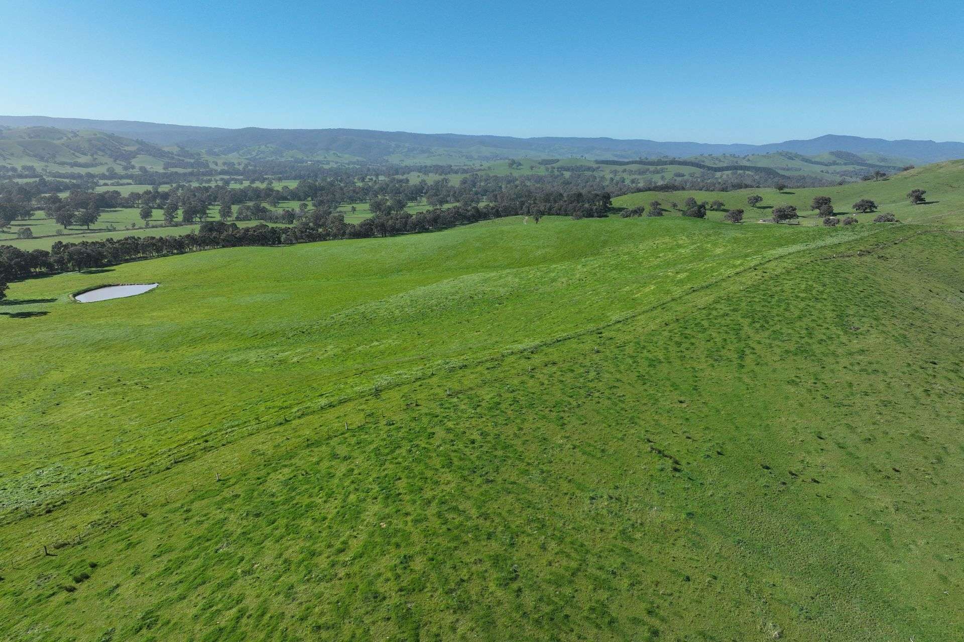 5695 Melba Highway, Yea For Sale by Farmbuy.com - image 3