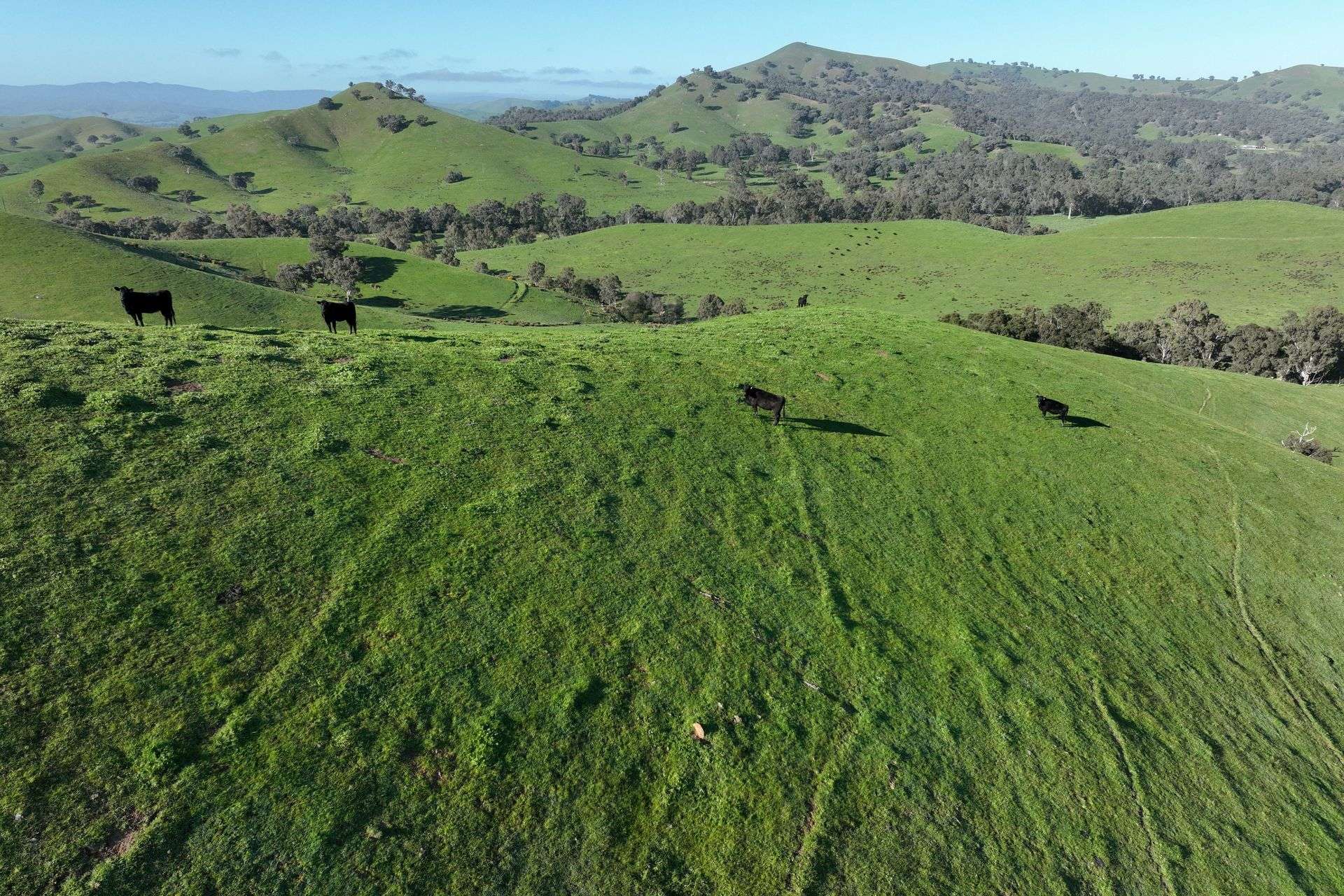 5695 Melba Highway, Yea For Sale by Farmbuy.com - image 20