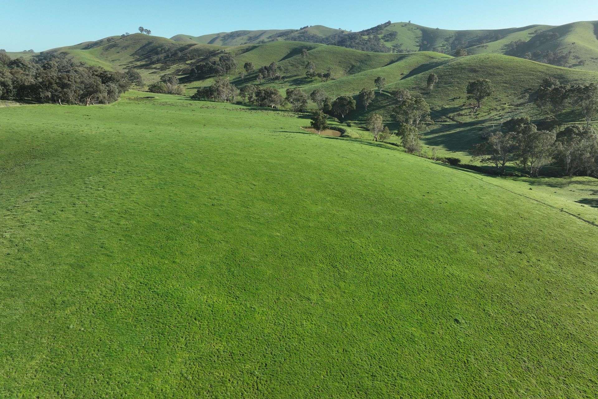5695 Melba Highway, Yea For Sale by Farmbuy.com - image 19