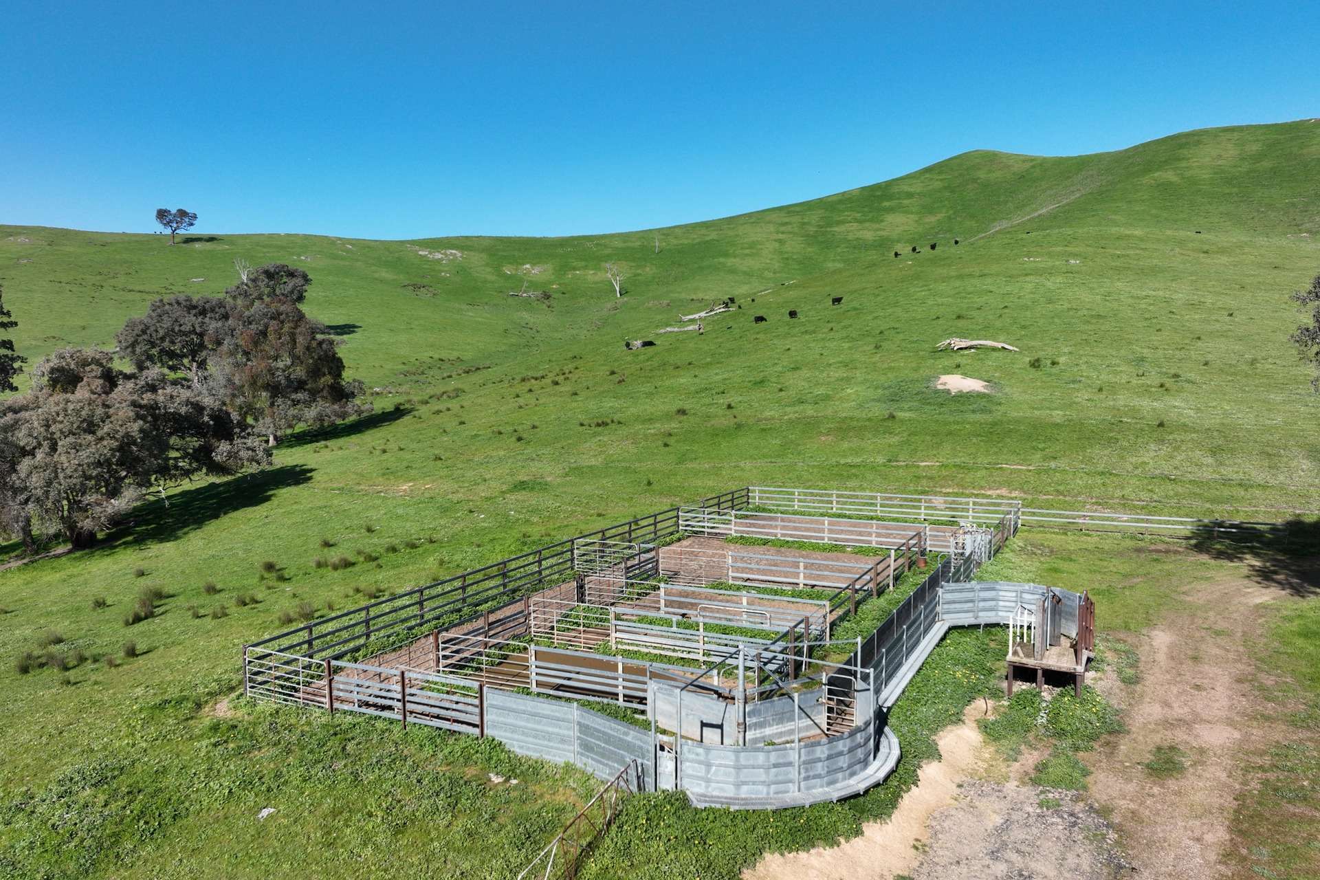 5695 Melba Highway, Yea For Sale by Farmbuy.com - image 7