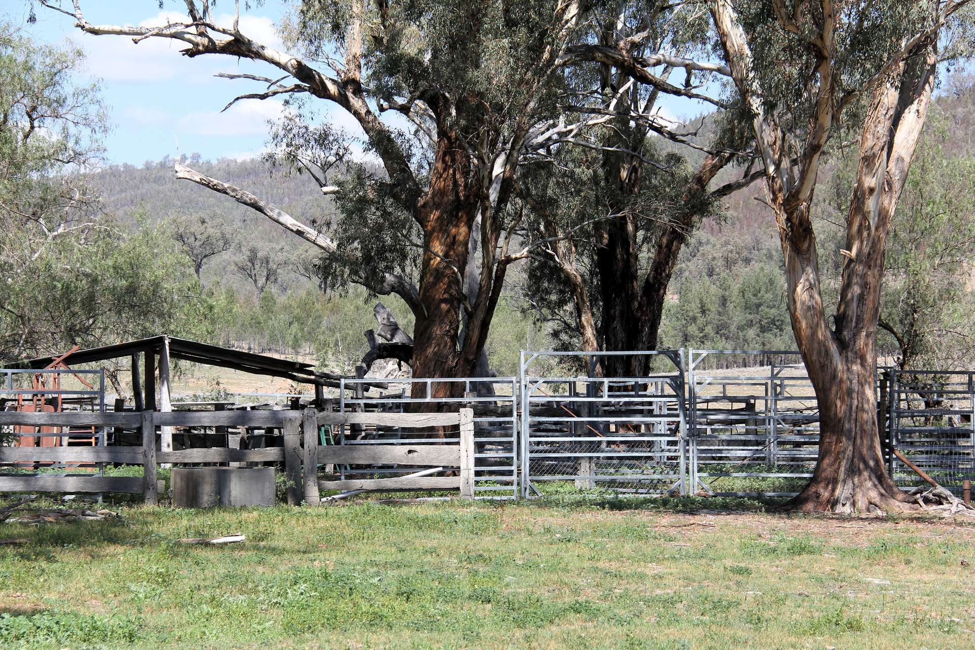 5687 Bruxner Way, Tenterfield For Sale by Farmbuy.com - image 3