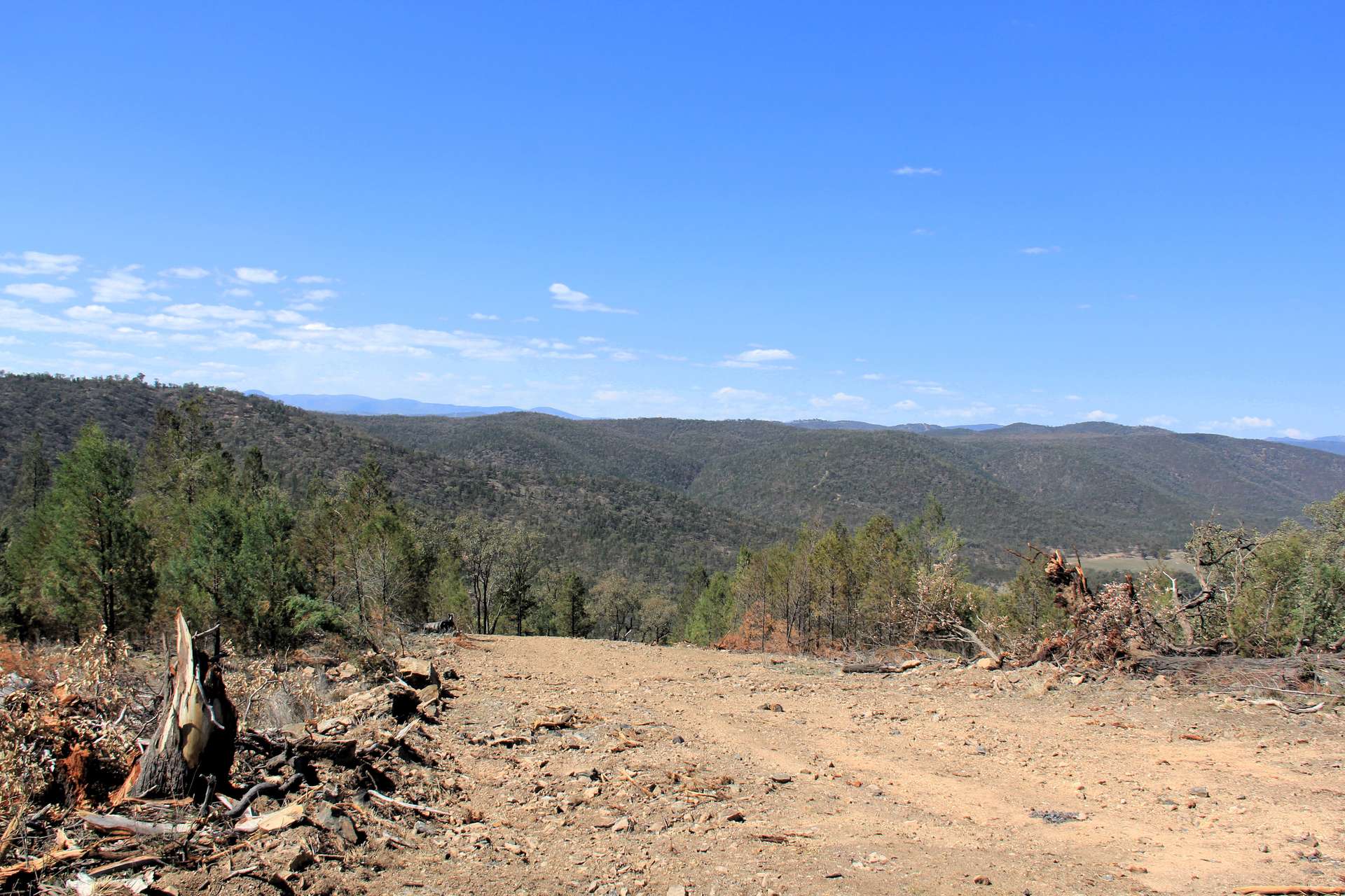 5687 Bruxner Way, Tenterfield For Sale by Farmbuy.com - image 7