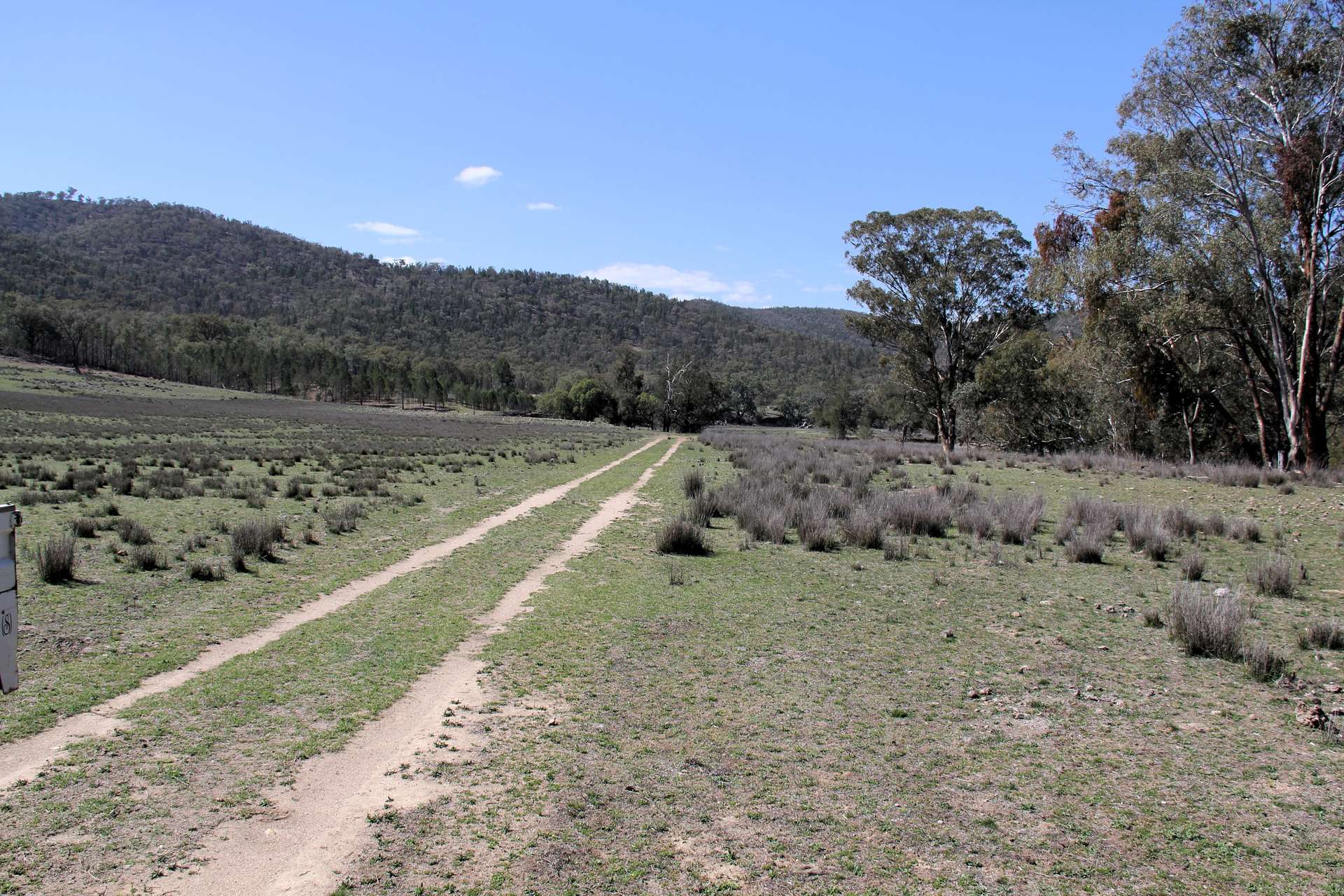 5687 Bruxner Way, Tenterfield For Sale by Farmbuy.com - image 6