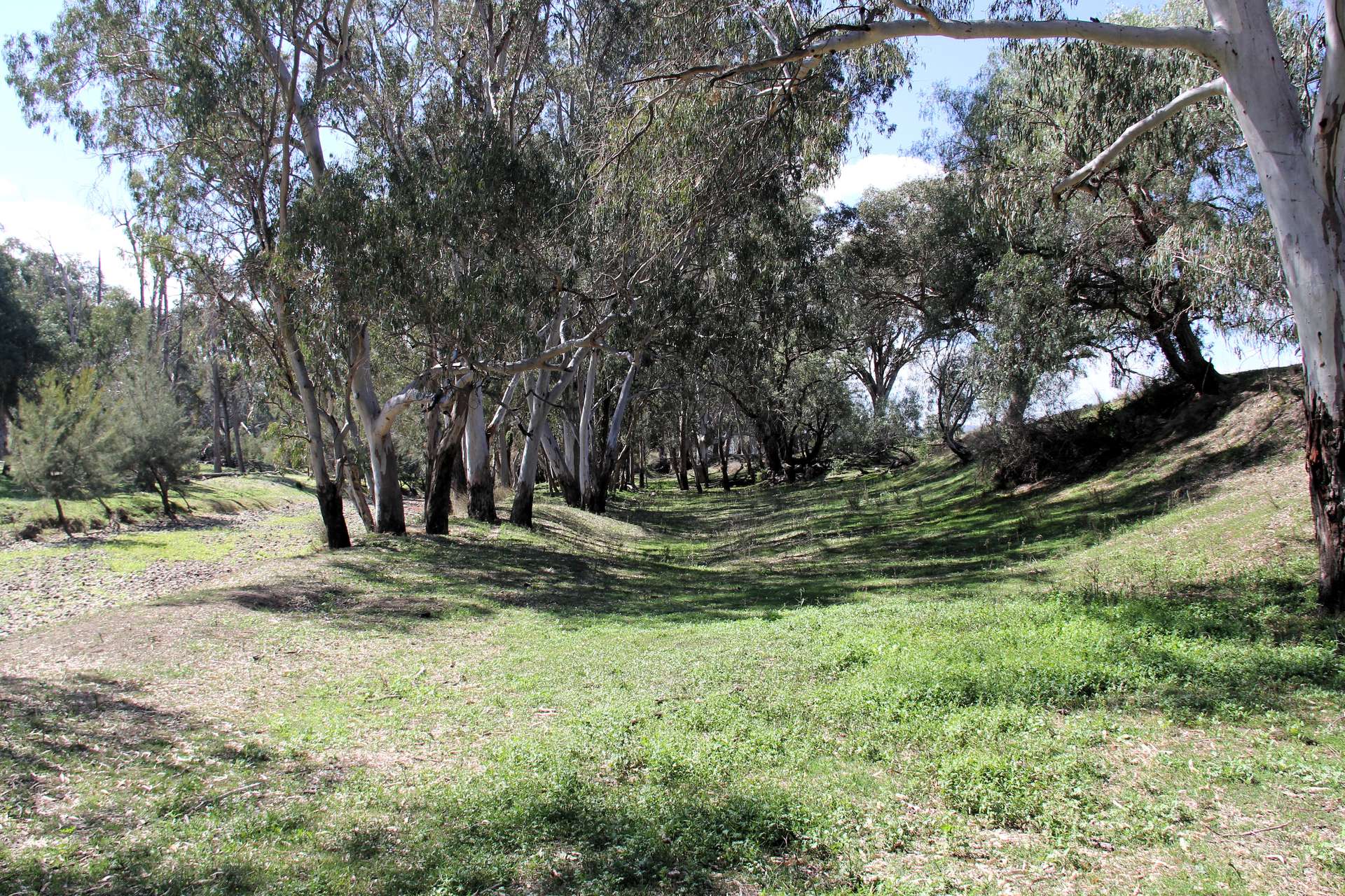 5687 Bruxner Way, Tenterfield For Sale by Farmbuy.com - image 8