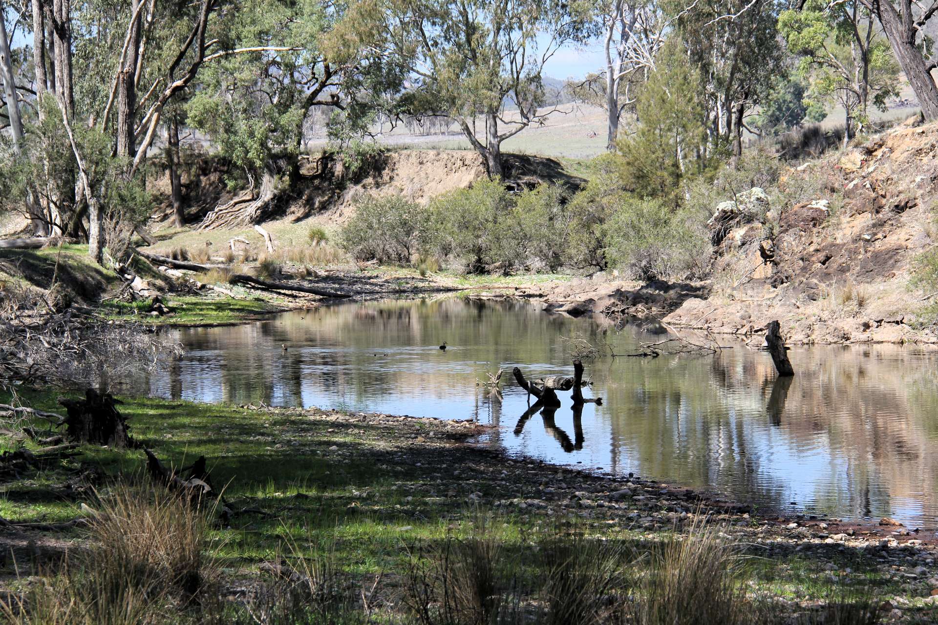 5687 Bruxner Way, Tenterfield For Sale by Farmbuy.com - image 2