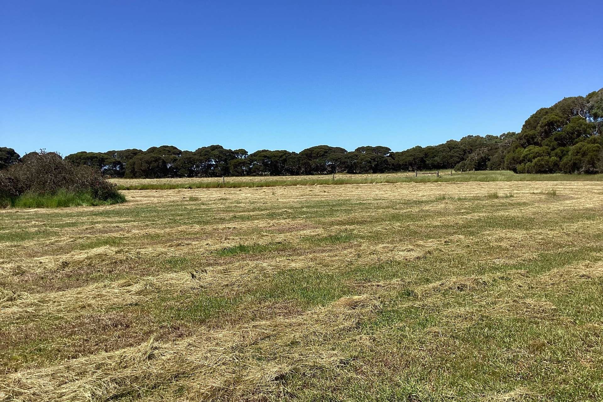 314 Birchmore Road, Birchmore For Sale by Farmbuy.com - image 23