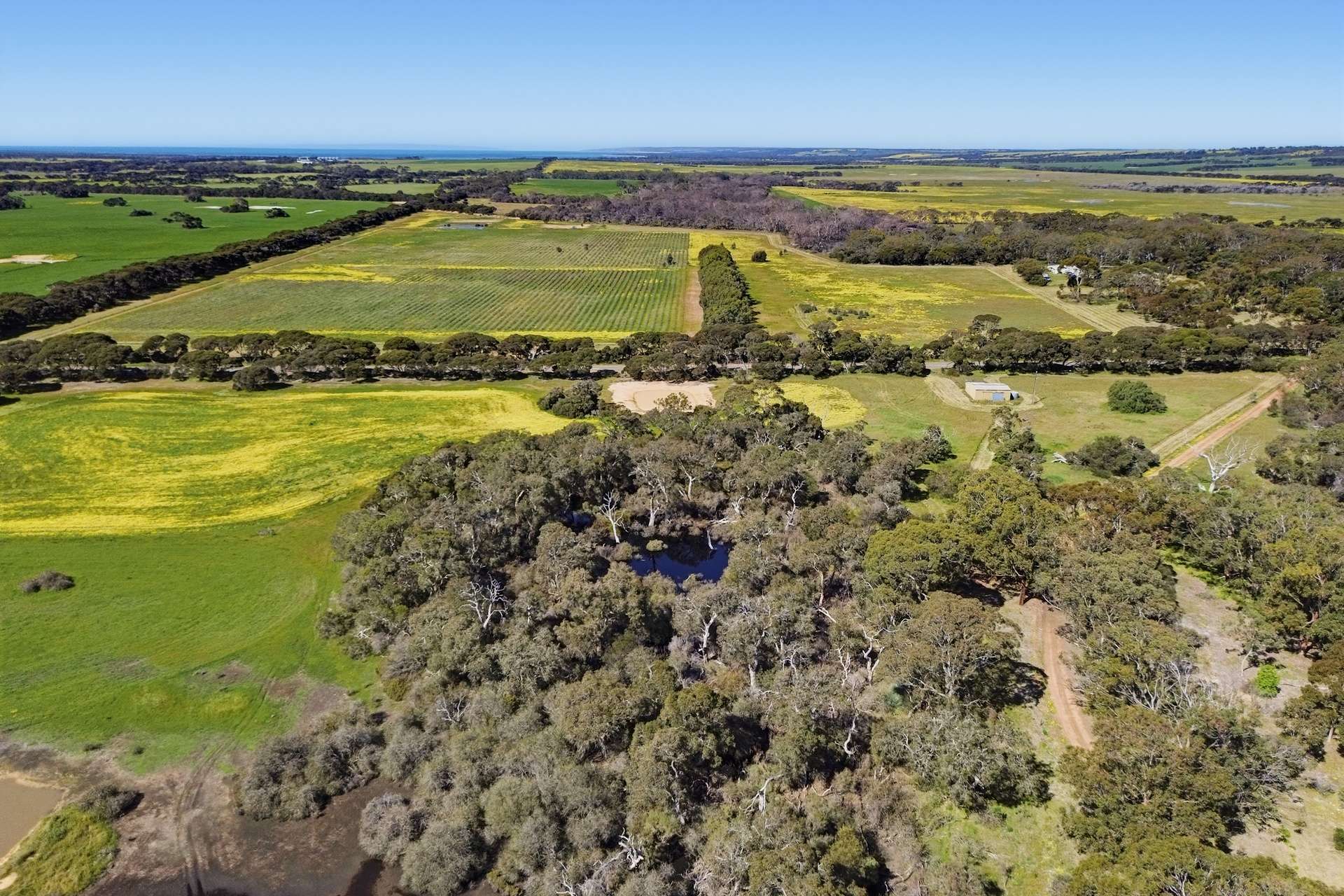 314 Birchmore Road, Birchmore For Sale by Farmbuy.com - image 19