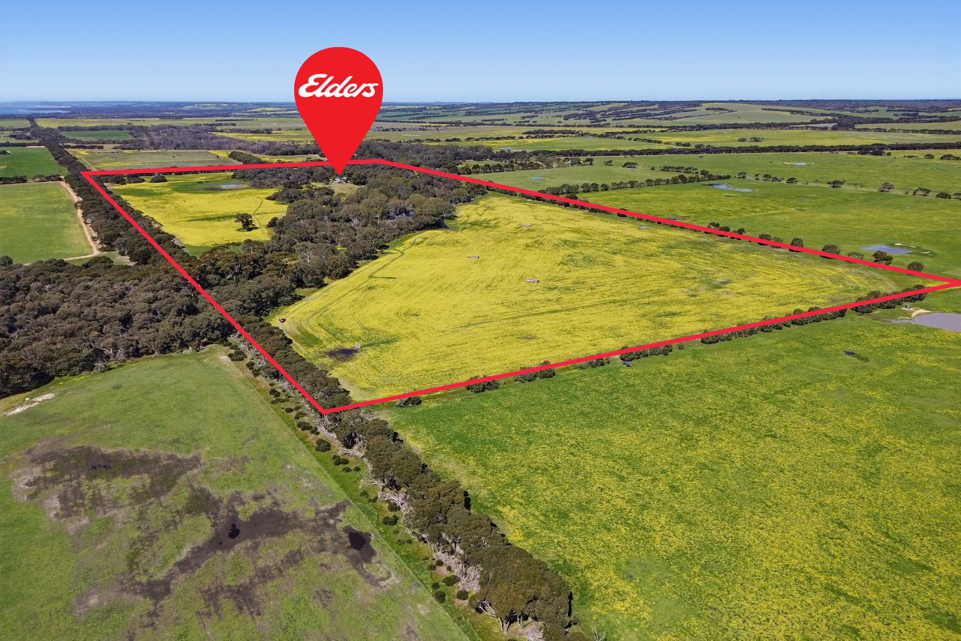 314 Birchmore Road, Birchmore For Sale by Farmbuy.com - image 16