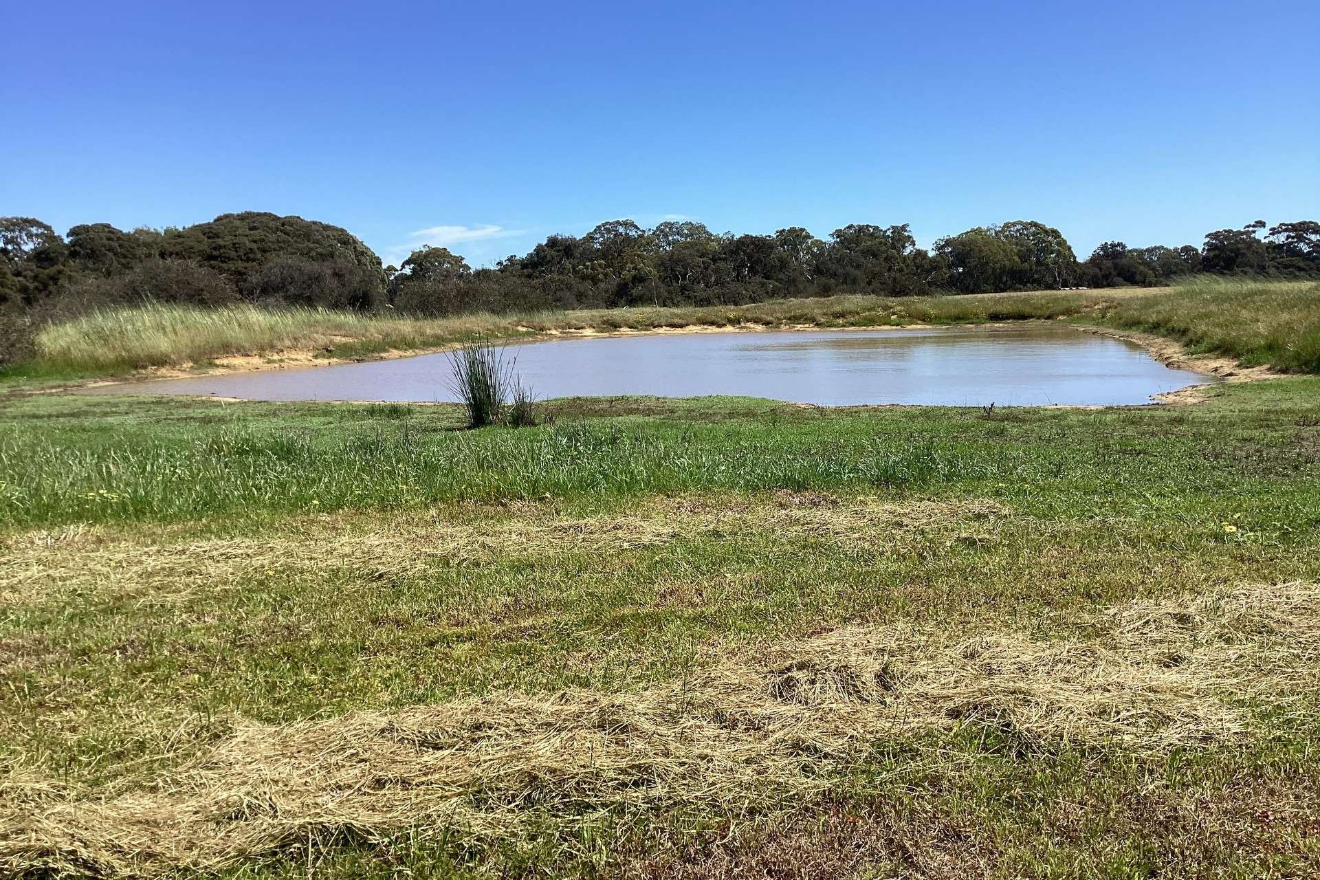 314 Birchmore Road, Birchmore For Sale by Farmbuy.com - image 17