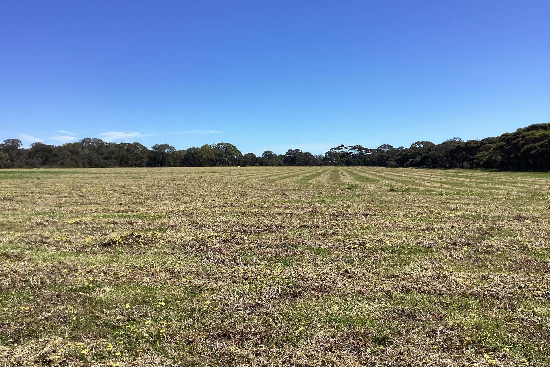 314 Birchmore Road, Birchmore For Sale by Farmbuy.com - image 24