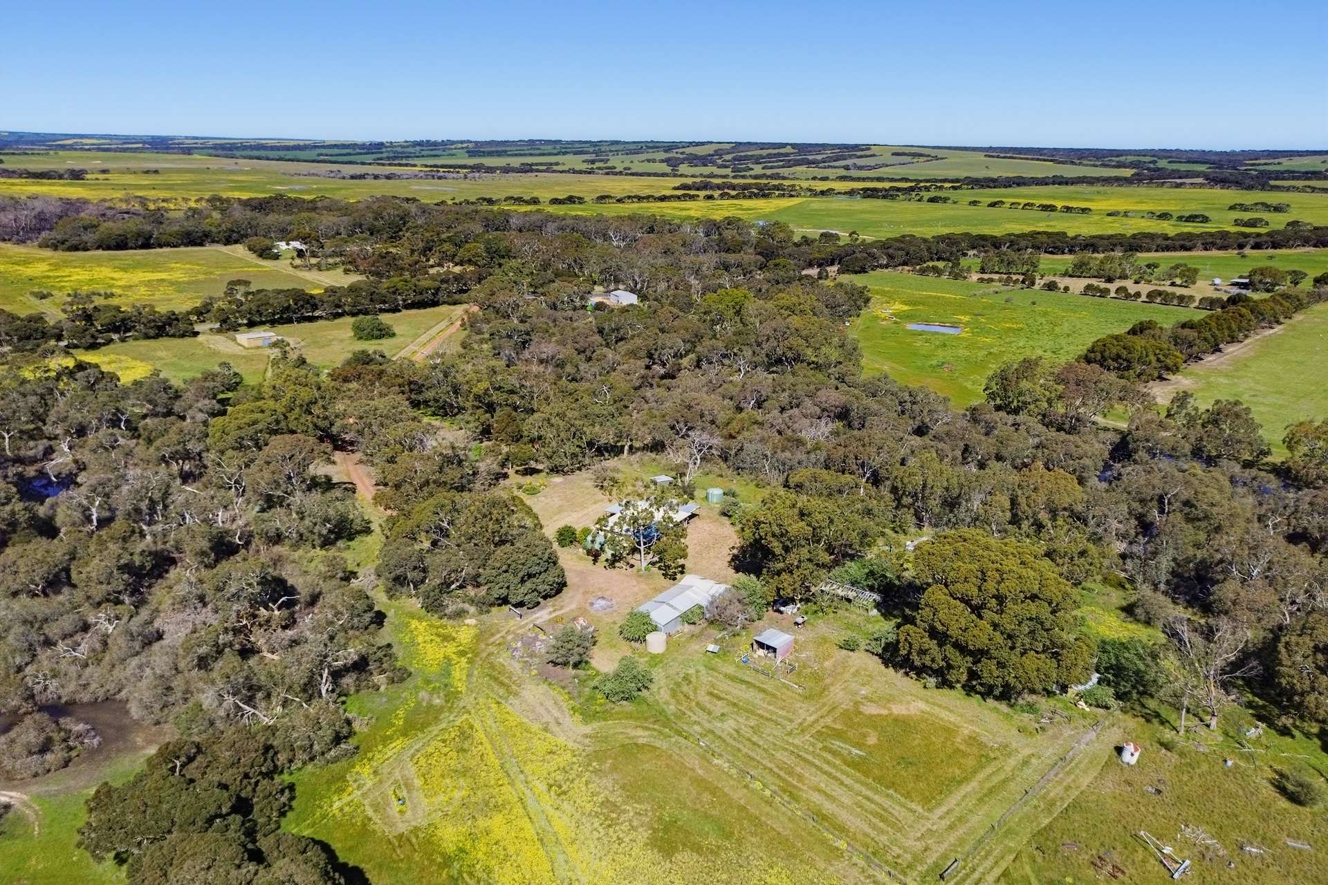 314 Birchmore Road, Birchmore For Sale by Farmbuy.com - image 17