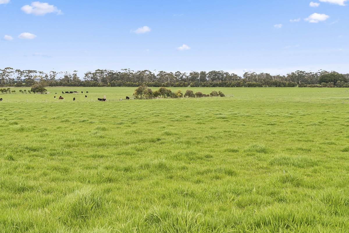 10 Rohans Road, Elingamite For Sale by Farmbuy.com - image 28