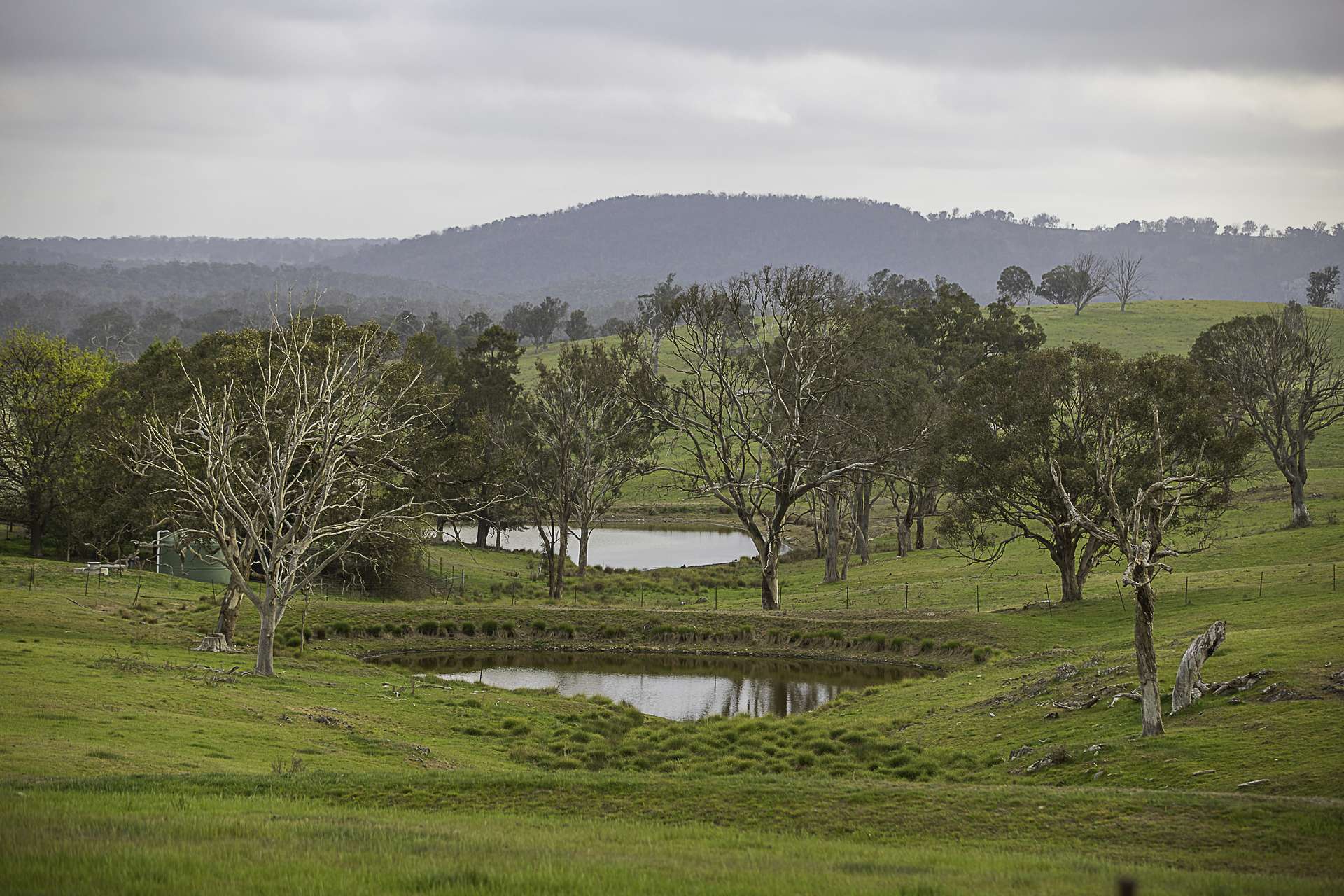 "Sylvania" 89 Townsend Road, Armidale Auction by Farmbuy.com - image 17