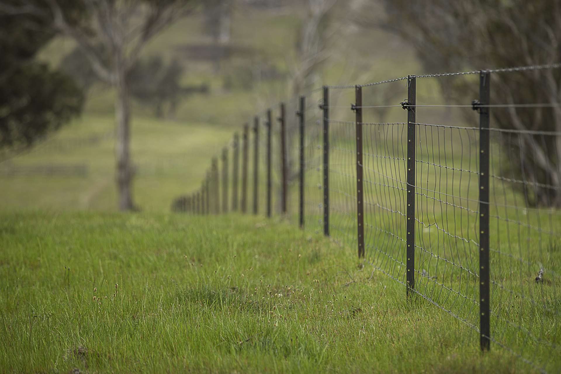 "Sylvania" 89 Townsend Road, Armidale Auction by Farmbuy.com - image 19