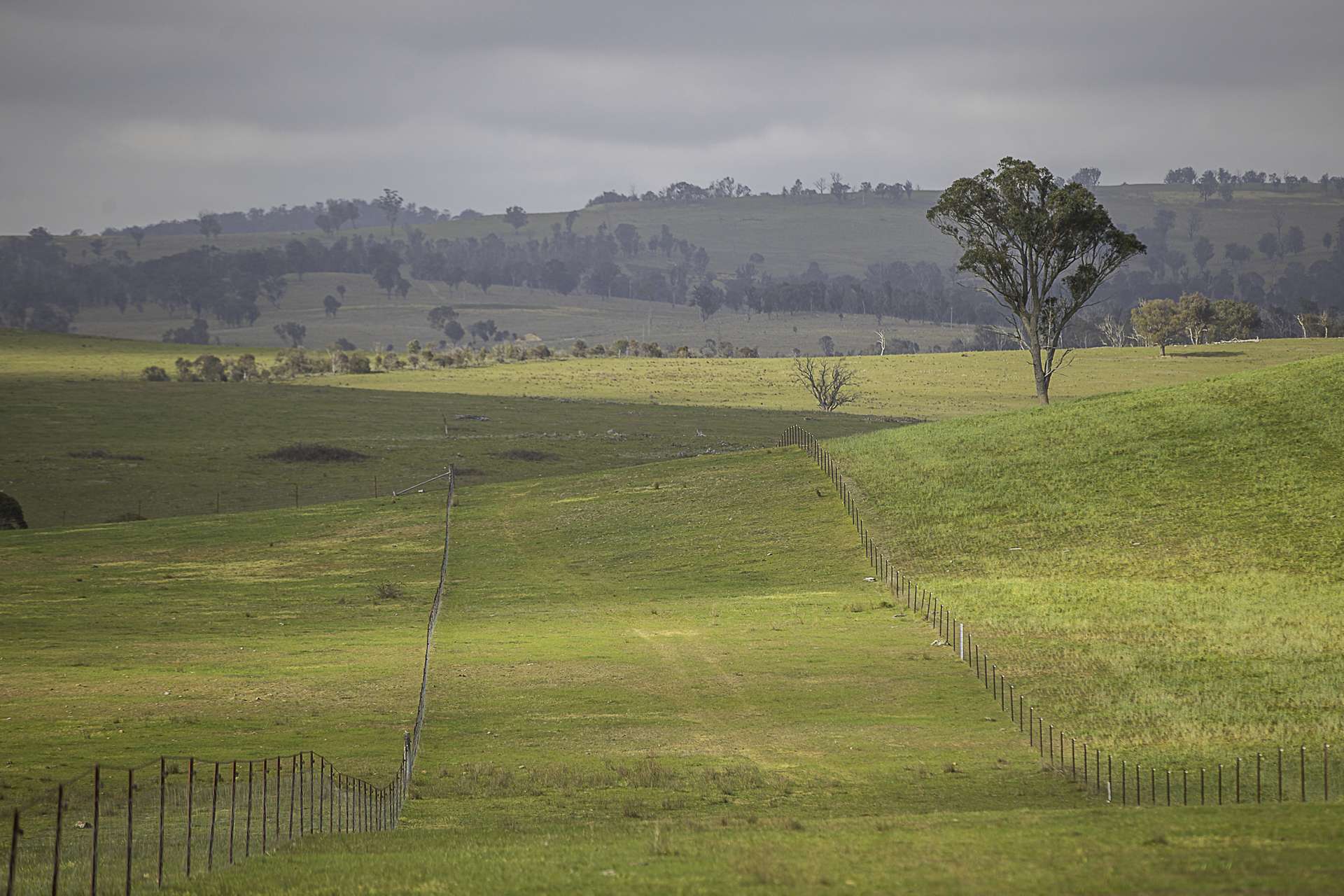 "Sylvania" 89 Townsend Road, Armidale Auction by Farmbuy.com - image 18