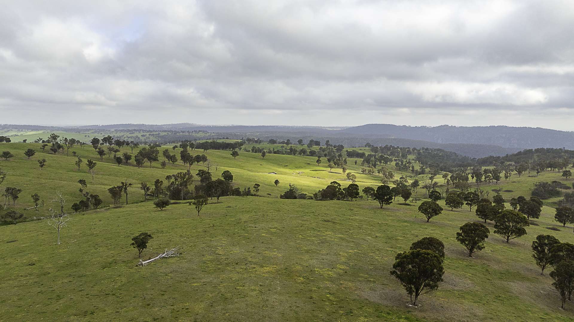 "Sylvania" 89 Townsend Road, Armidale Auction by Farmbuy.com - image 23