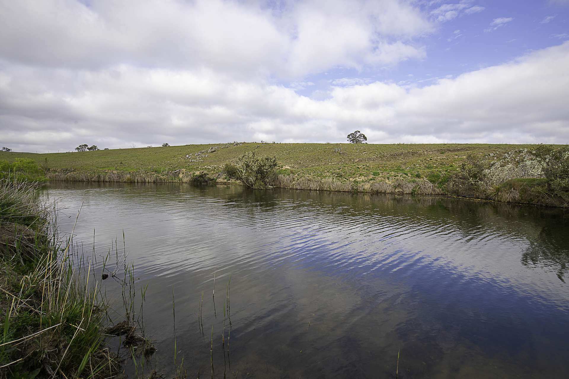 "Sylvania" 89 Townsend Road, Armidale Auction by Farmbuy.com - image 25
