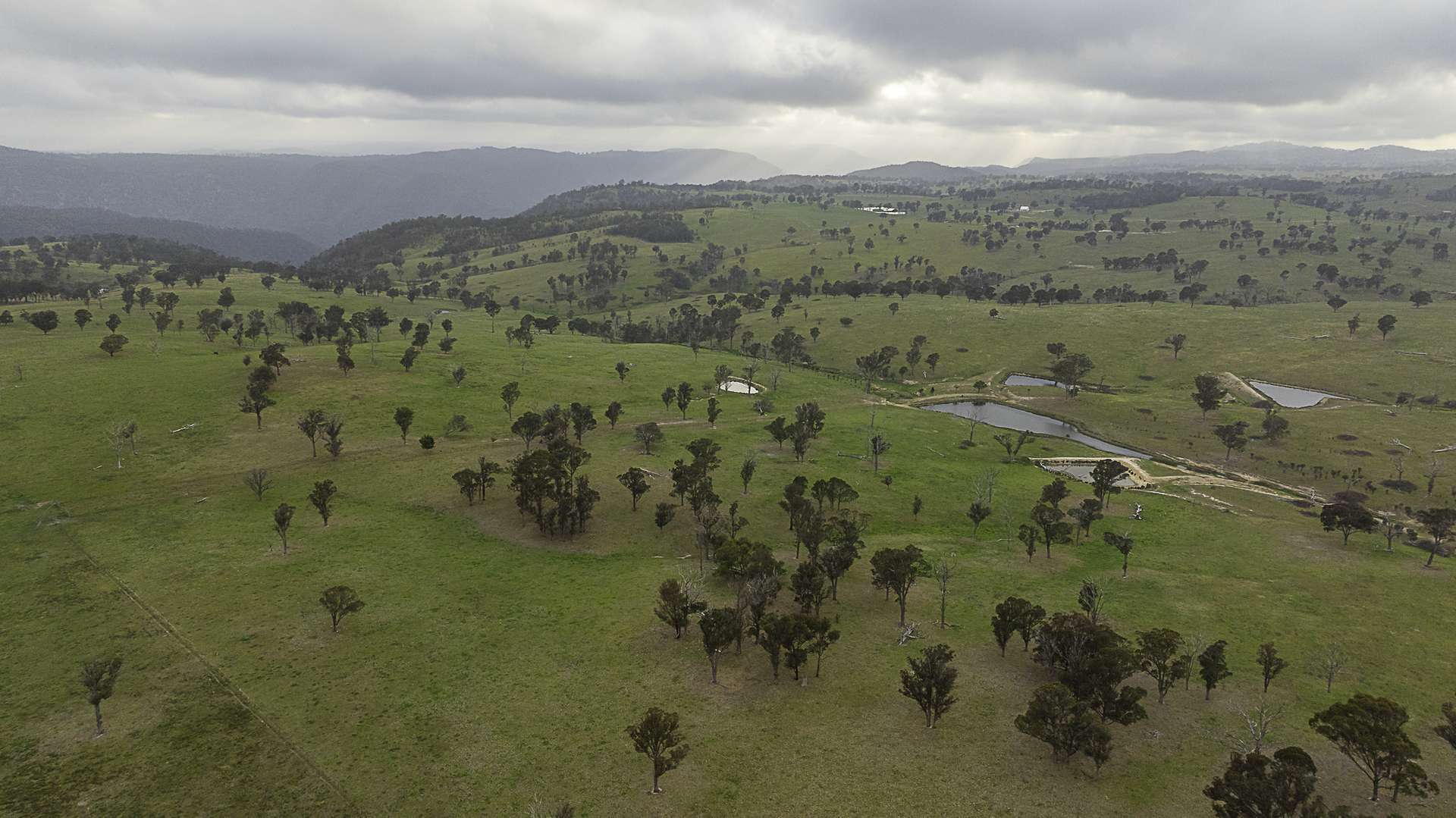 "Sylvania" 89 Townsend Road, Armidale Auction by Farmbuy.com - image 5