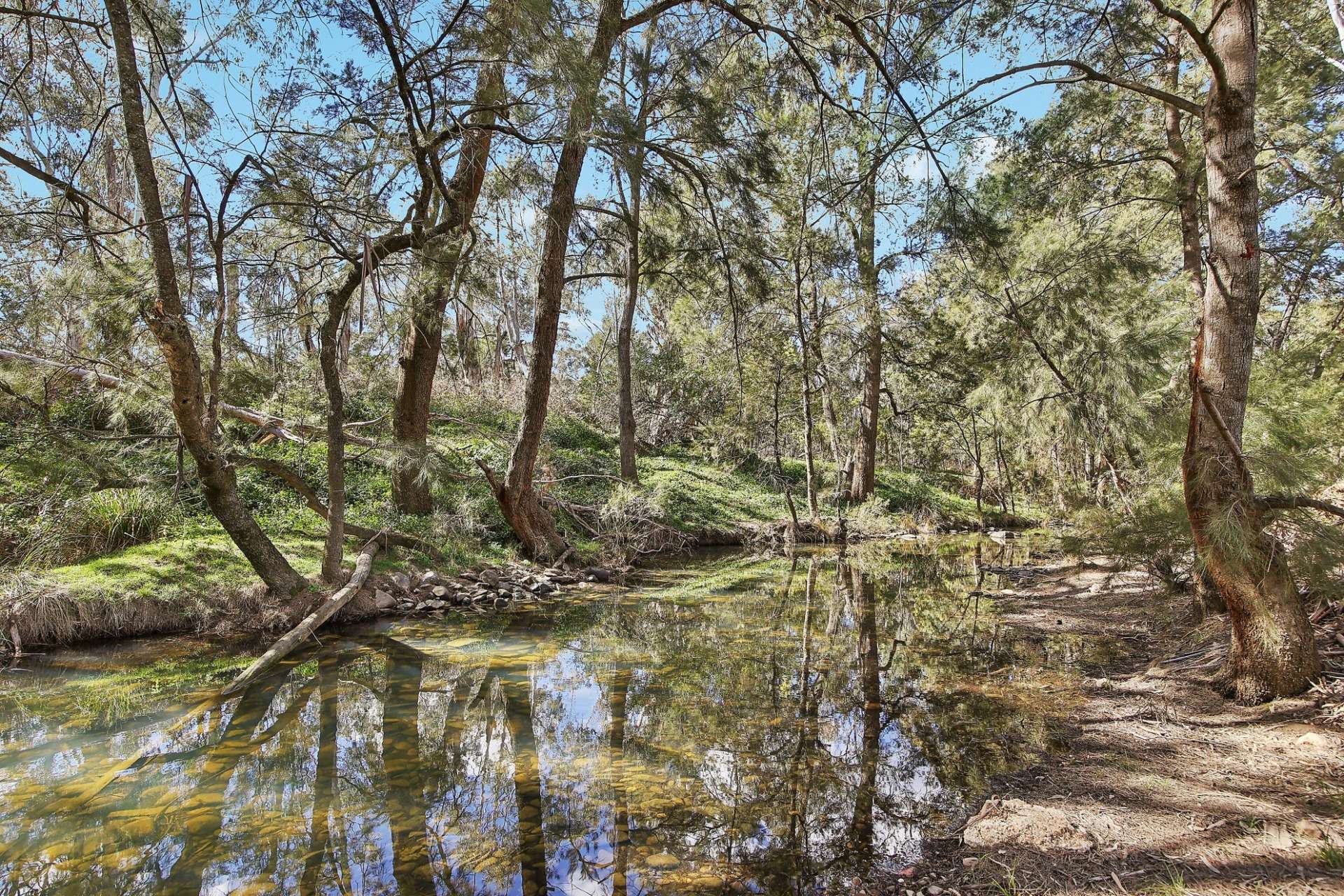 1807 Windeyer Road, Windeyer For Sale by Farmbuy.com - image 9