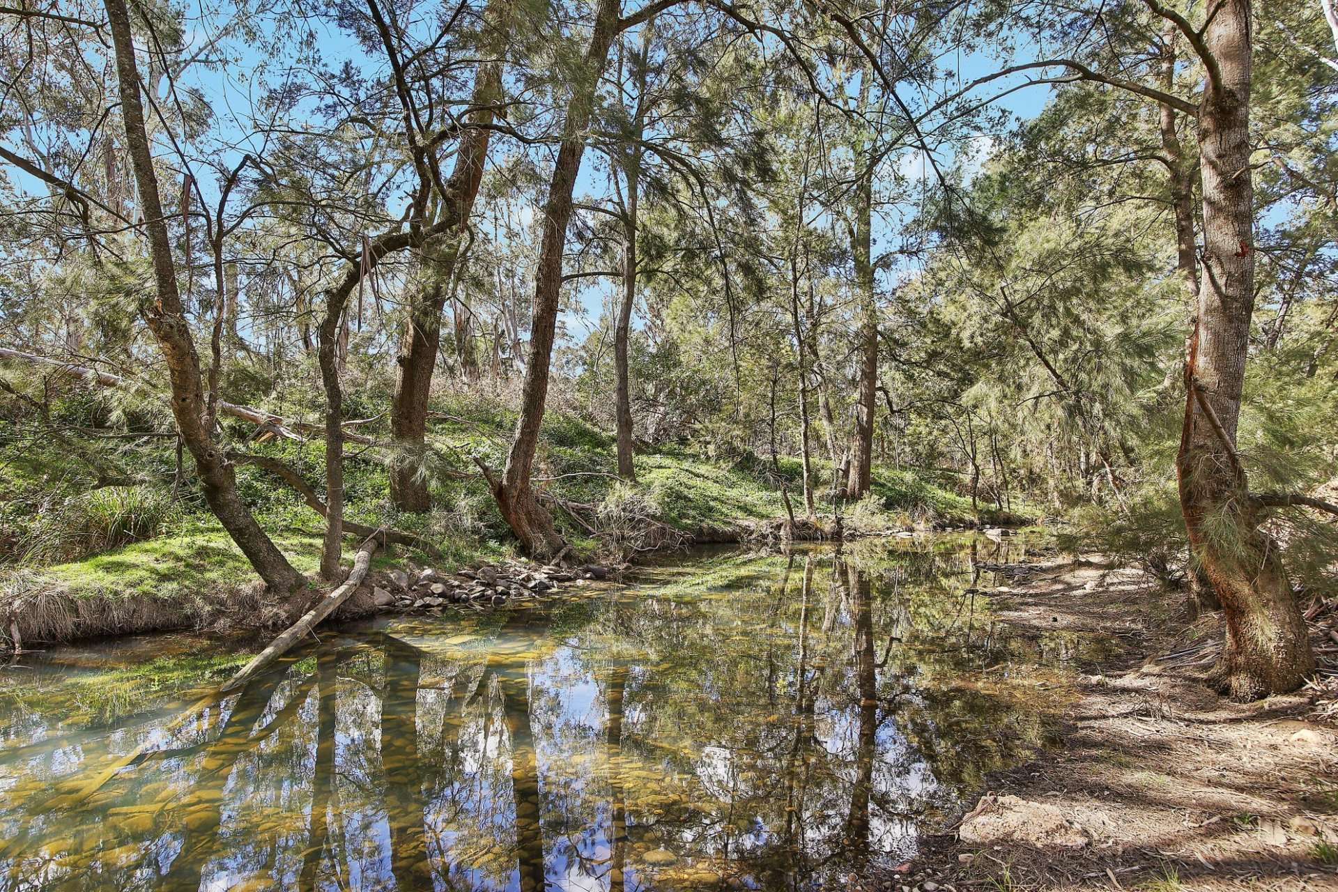 1807 Windeyer Road, Windeyer For Sale by Farmbuy.com - image 9