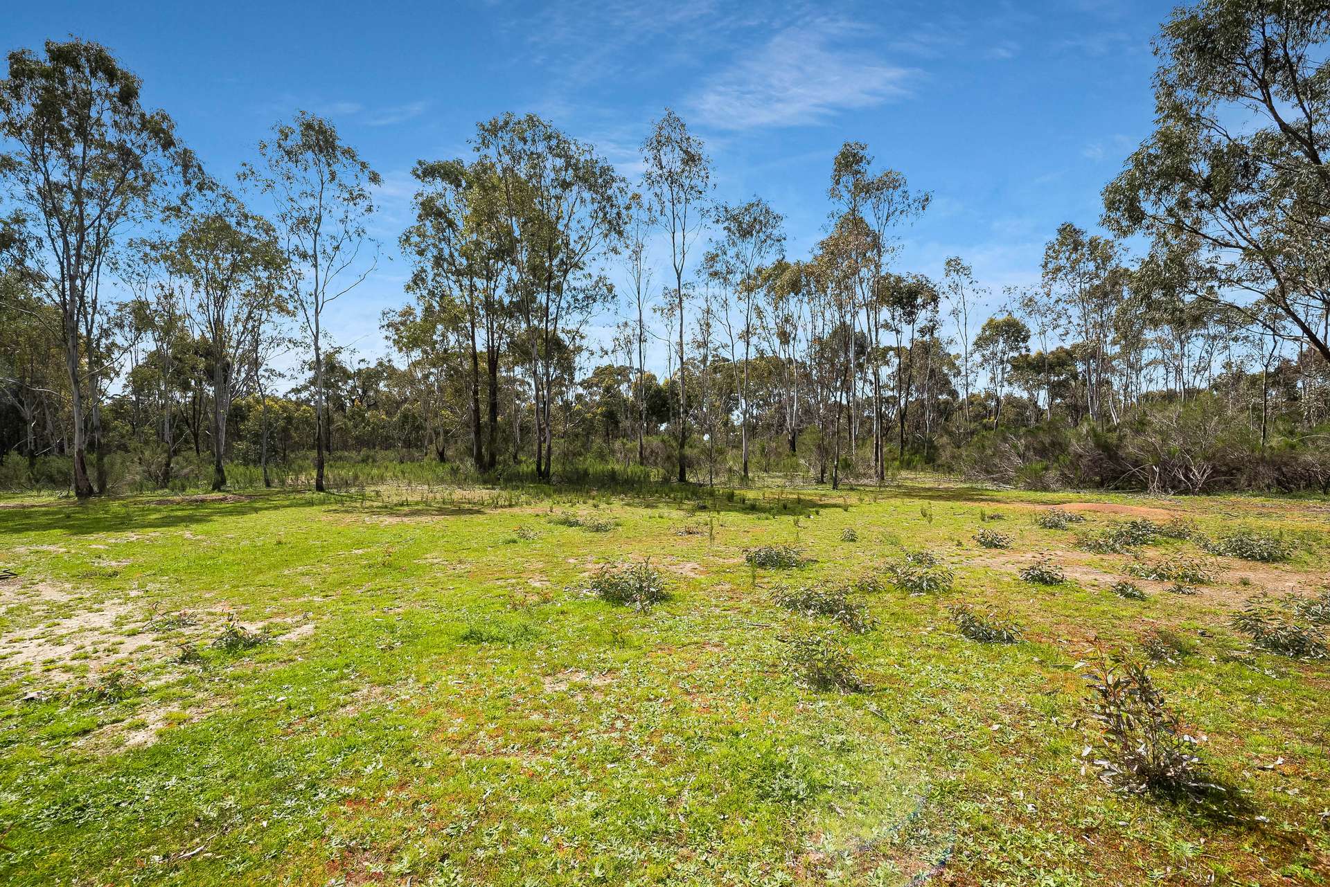 14 Obrien Court, Heathcote For Sale by Farmbuy.com - image 5