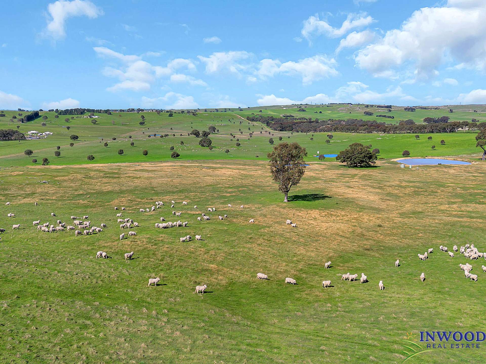408 Tapscotts Road, Mount Pleasant For Sale by Farmbuy.com - image 4