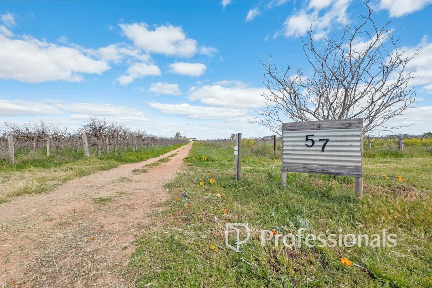 57 First Street & Myall Lane, Merbein Auction by Farmbuy.com - image 16