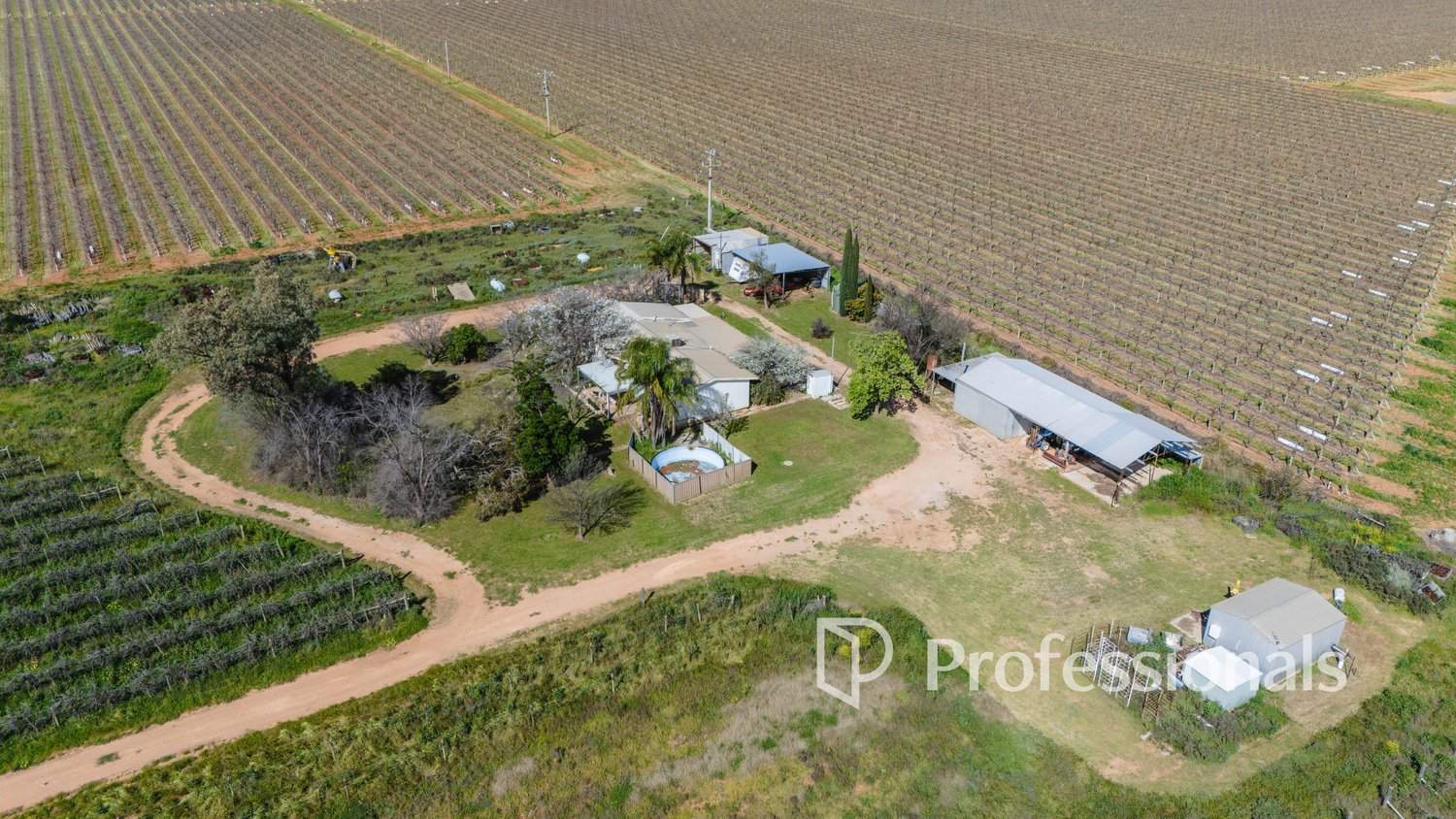 57 First Street & Myall Lane, Merbein Auction by Farmbuy.com - image 4