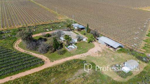 Farm Auction - VIC - Merbein - 3505 - OVER 93 ACRES OF PRIME IRRIGATED MERBEIN LAND 